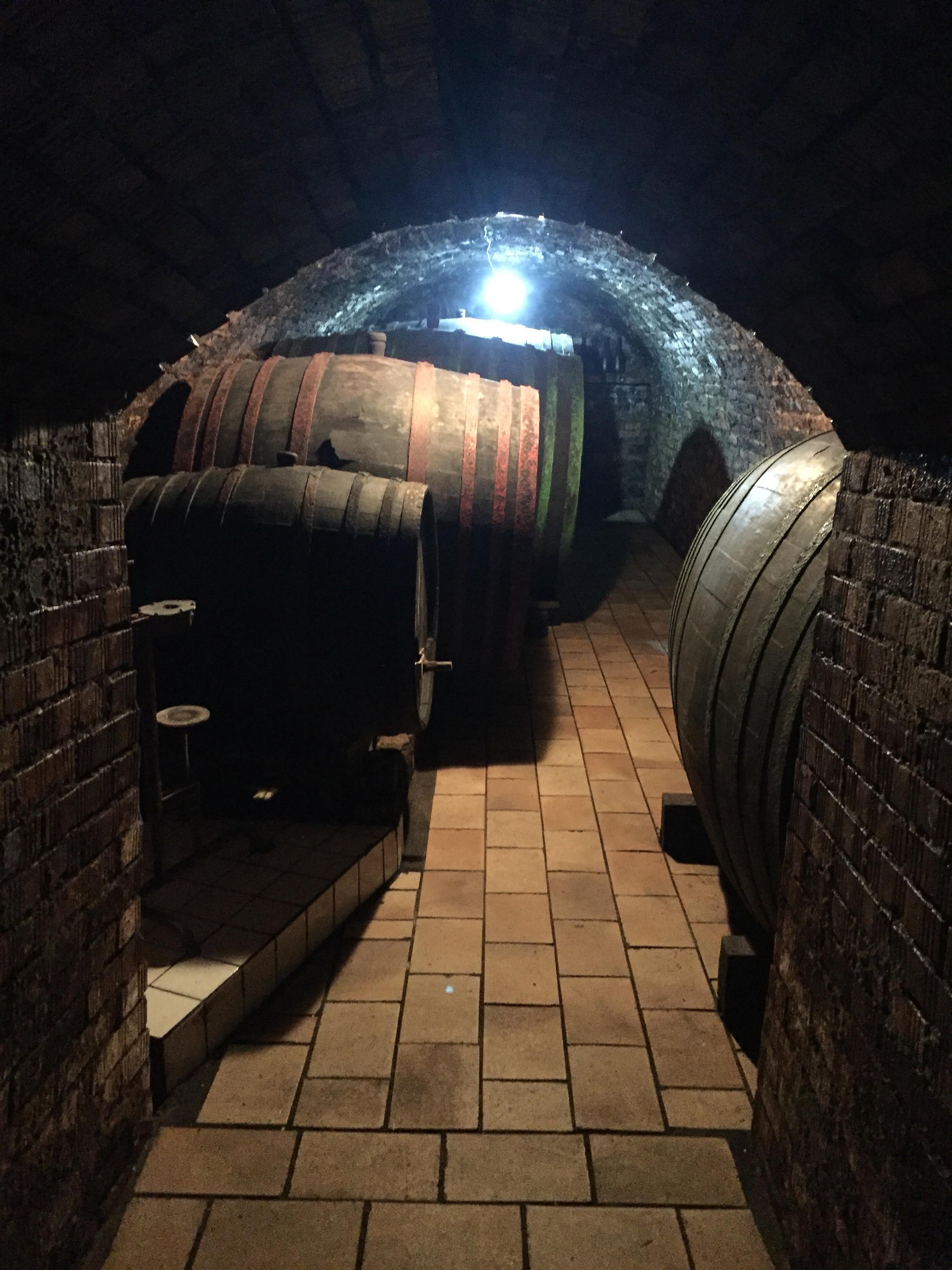 Libor Famfrla- vinař foto 6