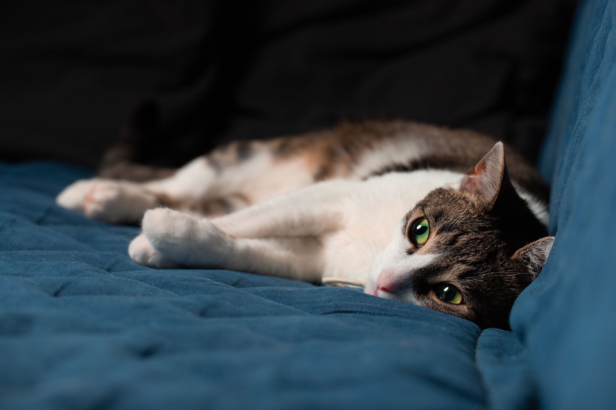 Fotografka Vendula Sobotková foto 1