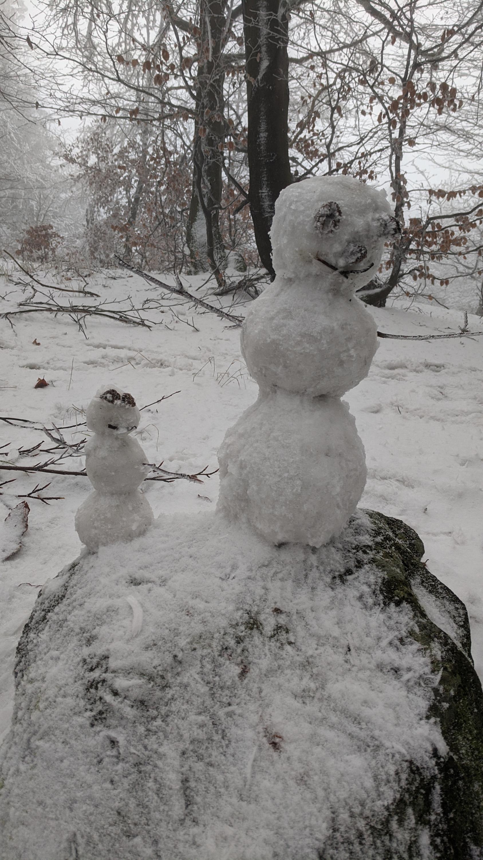 MŠ Pohádka Nový Bor, Luční foto 2
