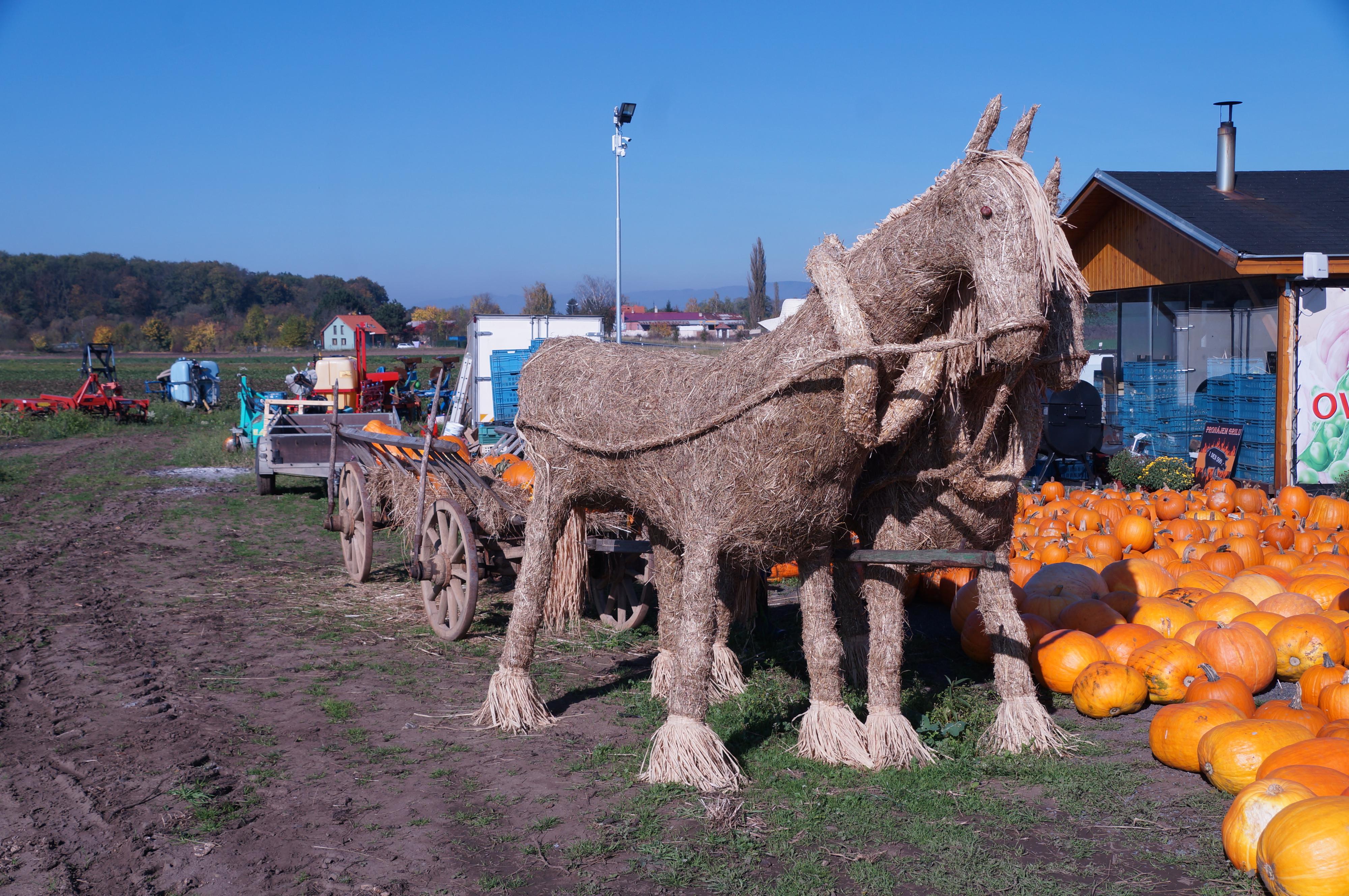 Jahodárna Brozany foto 5