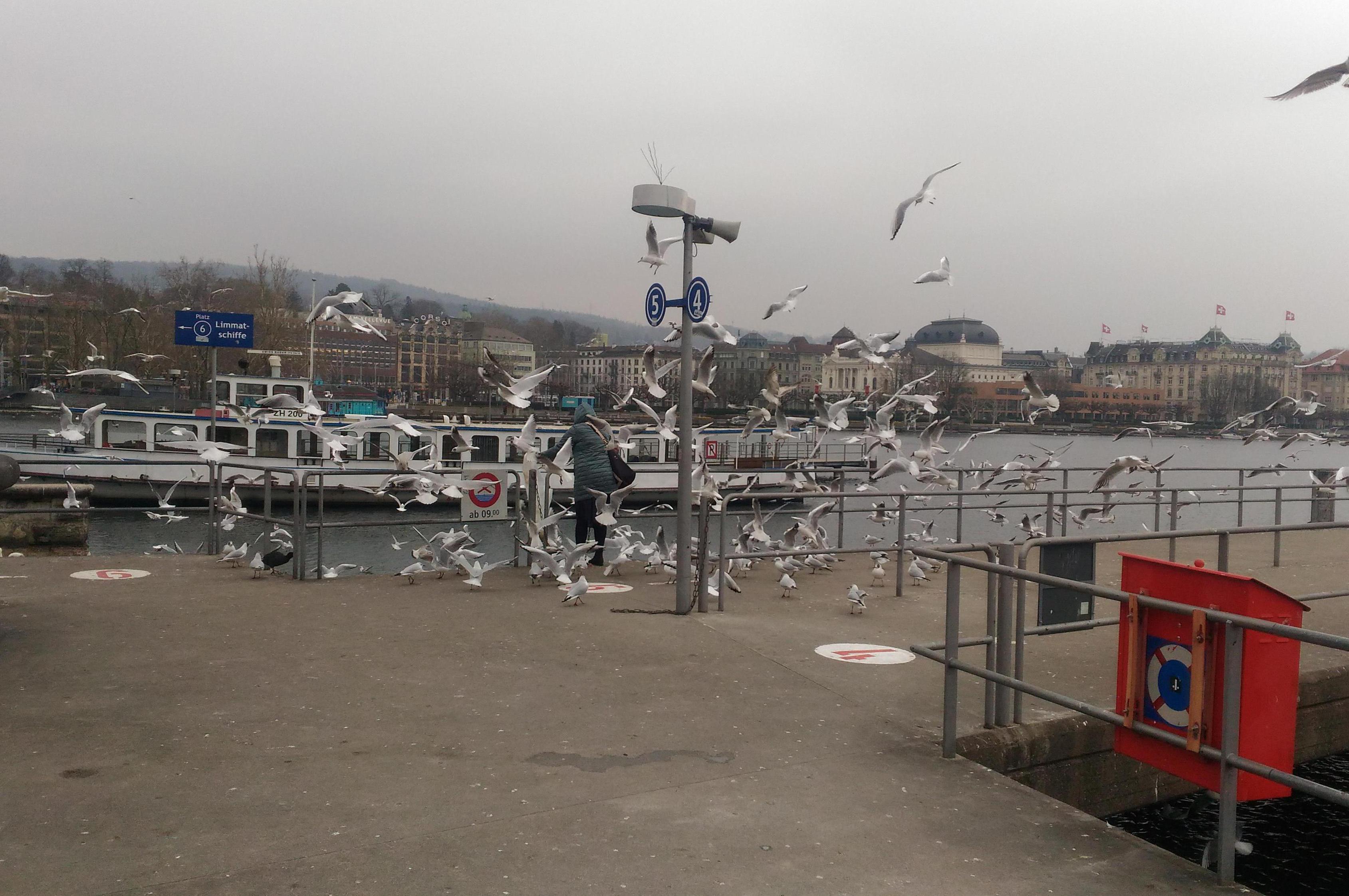 Mezinárodní stěhování v rámci celé Evropy