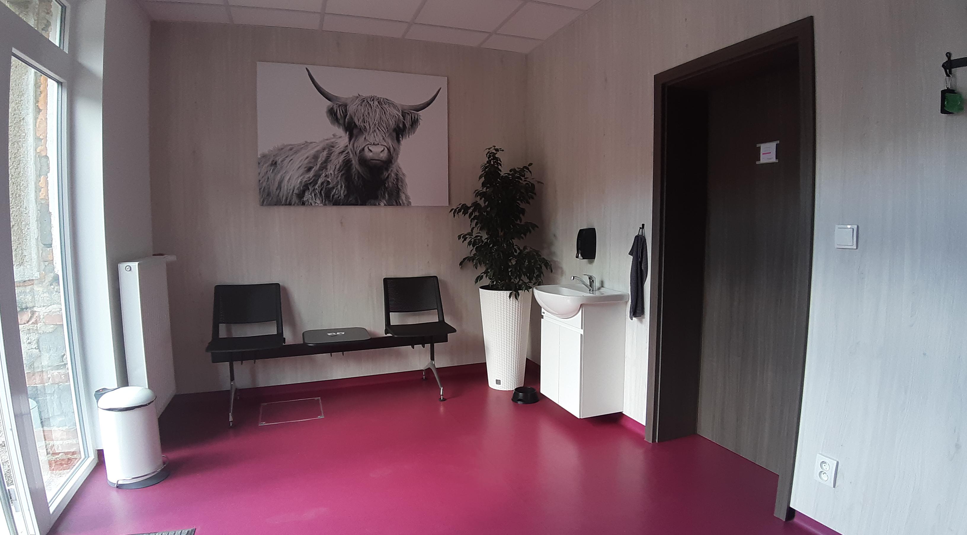 MVDr. Alena Zapletalová - Veterinární ordinace Ludmírov foto 4