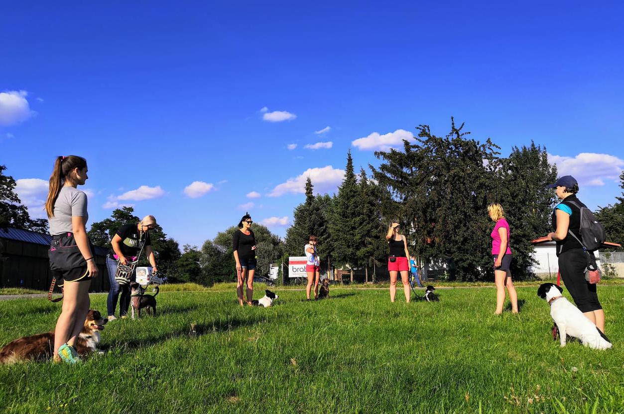 Psí škola u Air Baru