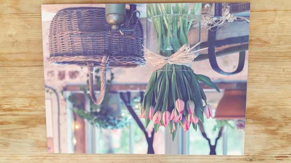 Fotoobraz-rychle.cz foto 2