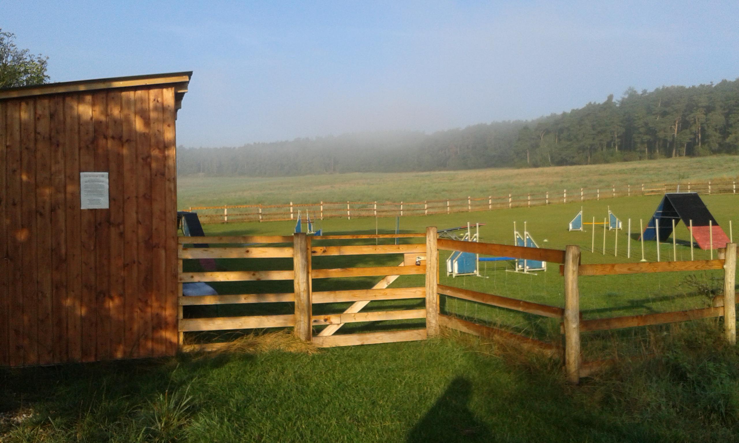 Julie Wohanková- výchova a trénink psů foto 4