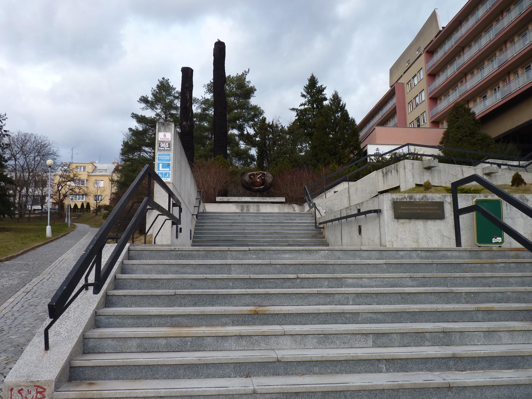 Knihovna Národního centra ošetřovatelství a nelékařských zdravotnických oborů foto 4