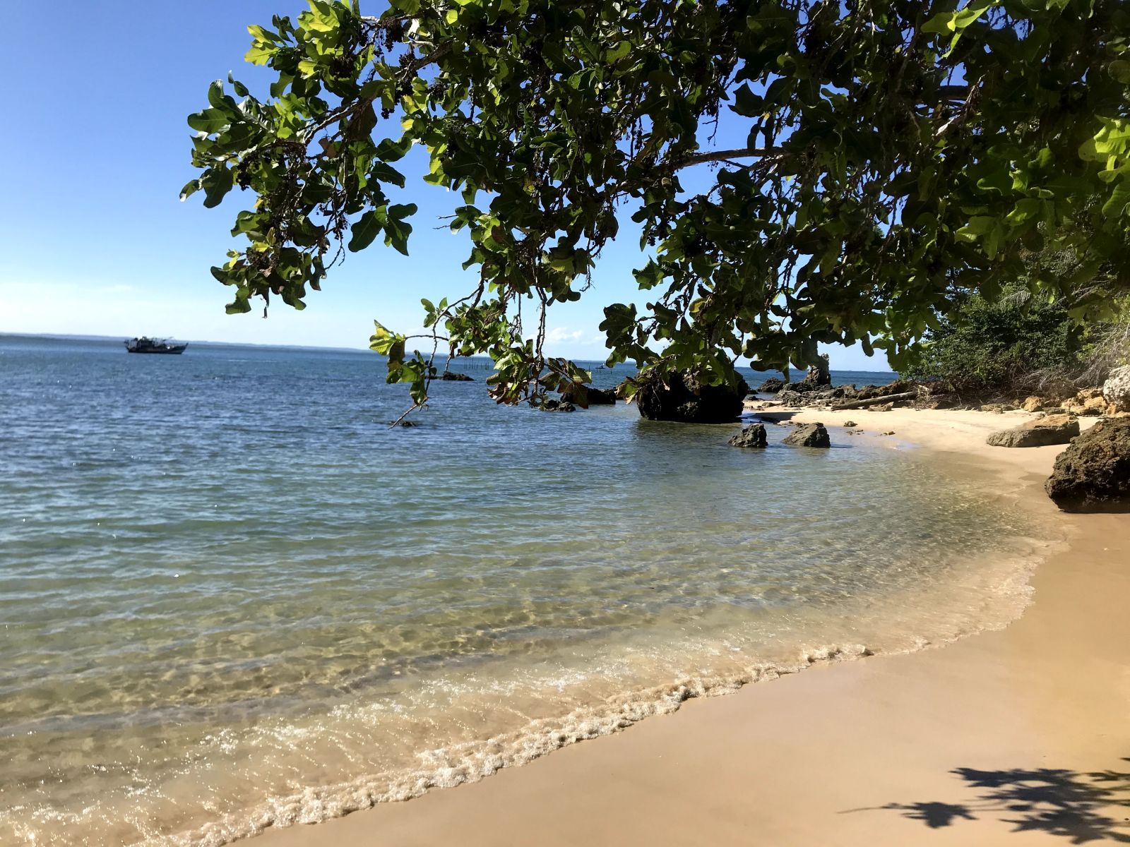 doJižníAmeriky.cz foto 3