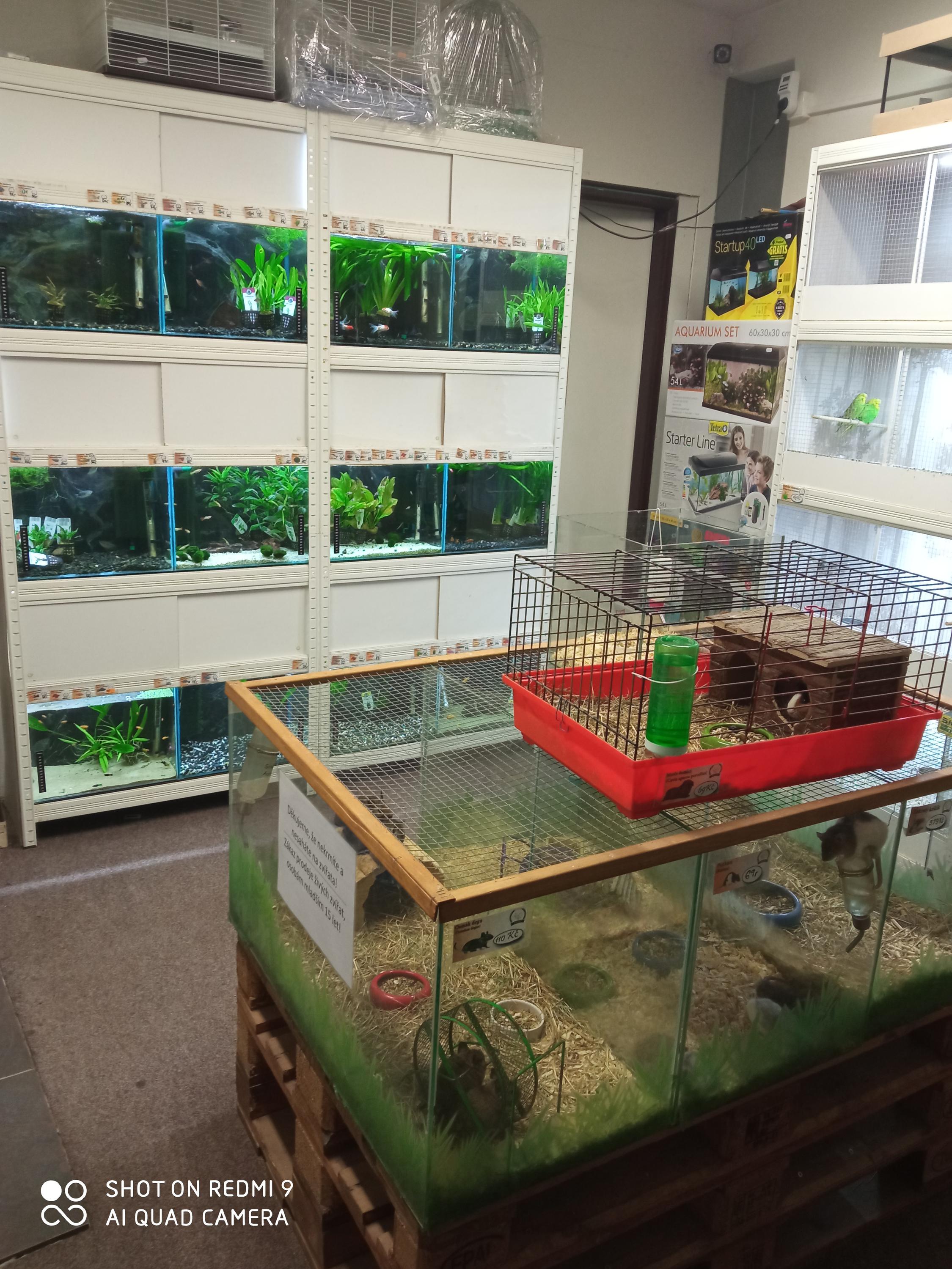 ZOO ROOM foto 3
