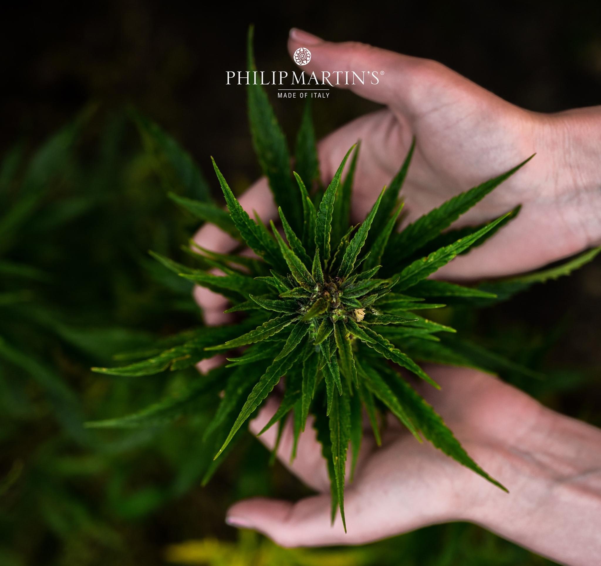 PHILIP MARTIN'S - Concept Store Ercolani foto 5