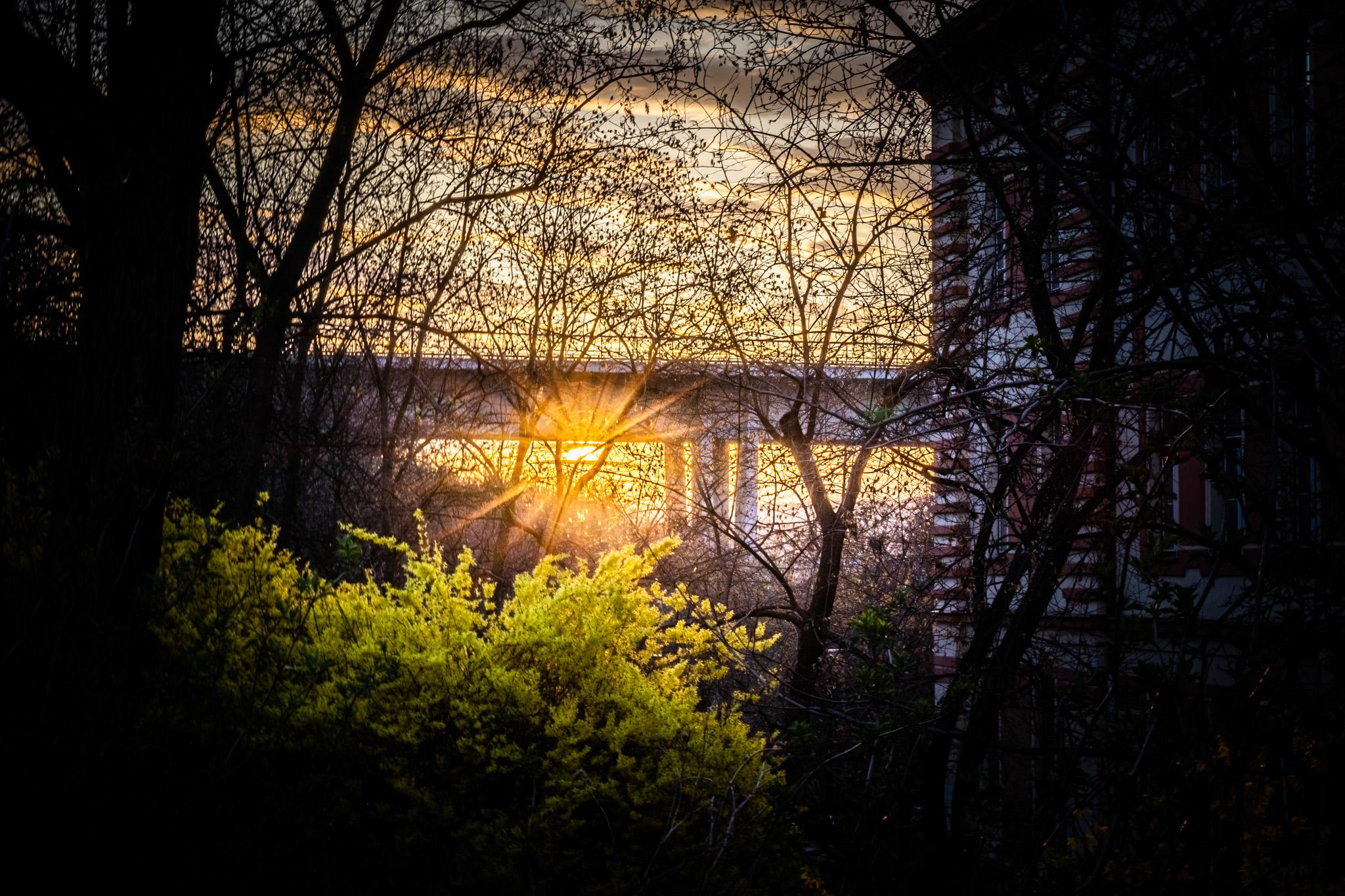 4. ScioŠkola Praha foto 2