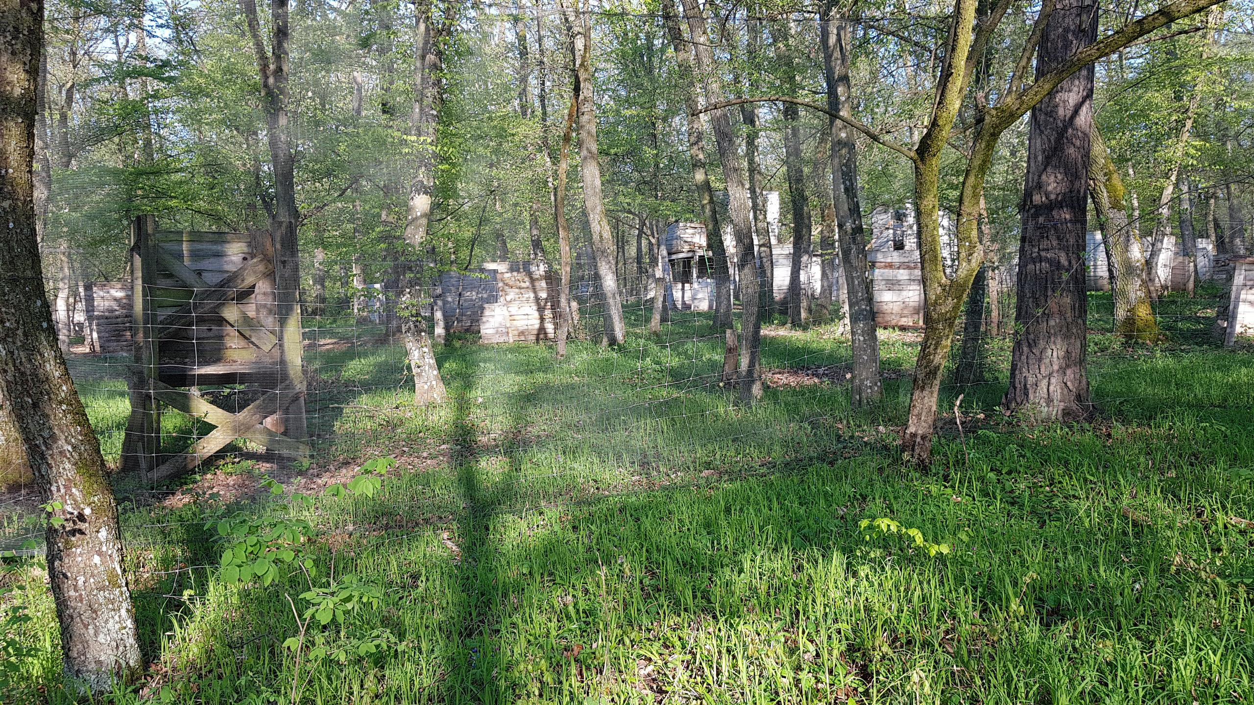 Racquet Club Belcredi Líšeň, s.r.o. foto 4