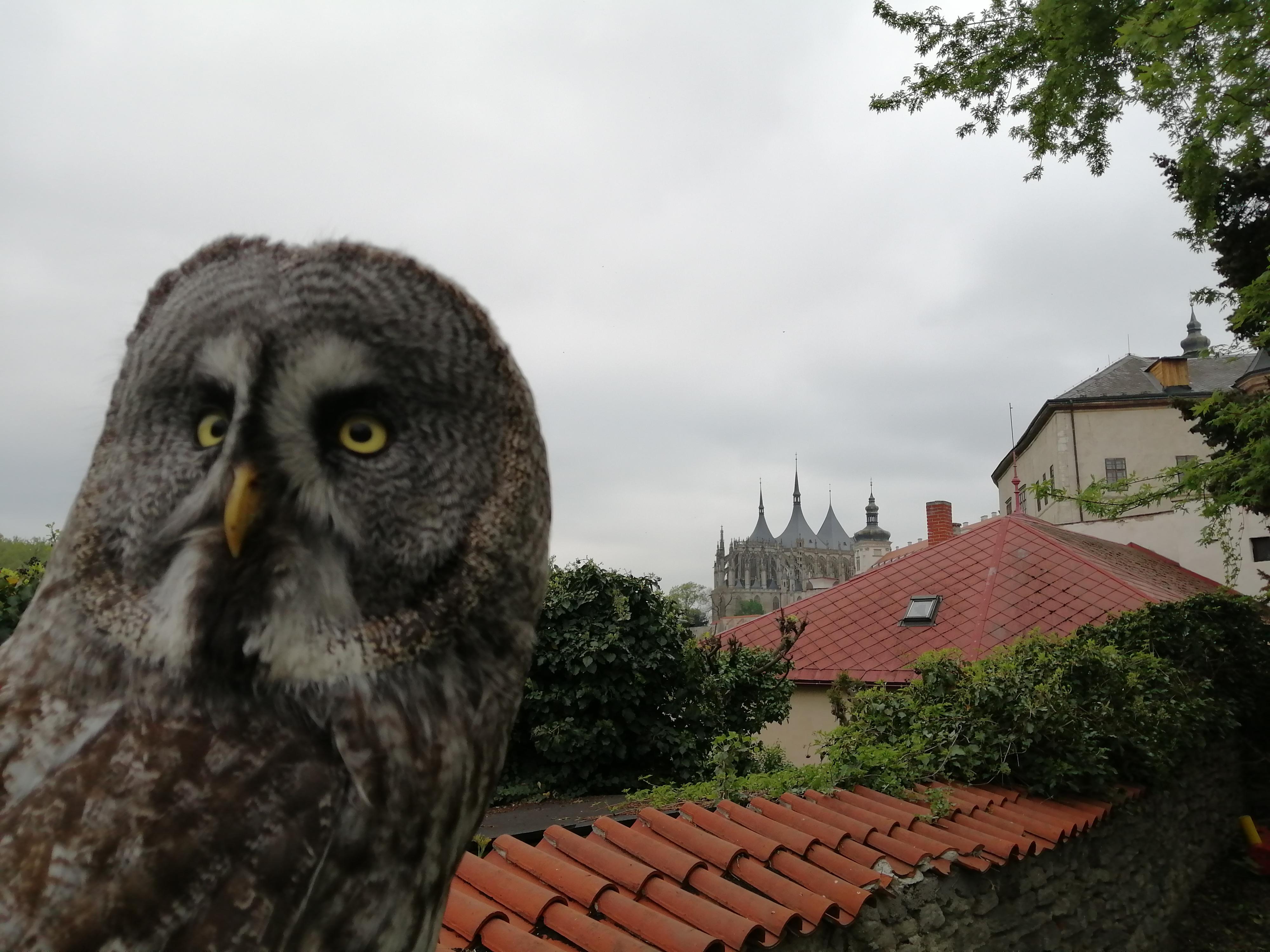 František Adámek foto 3