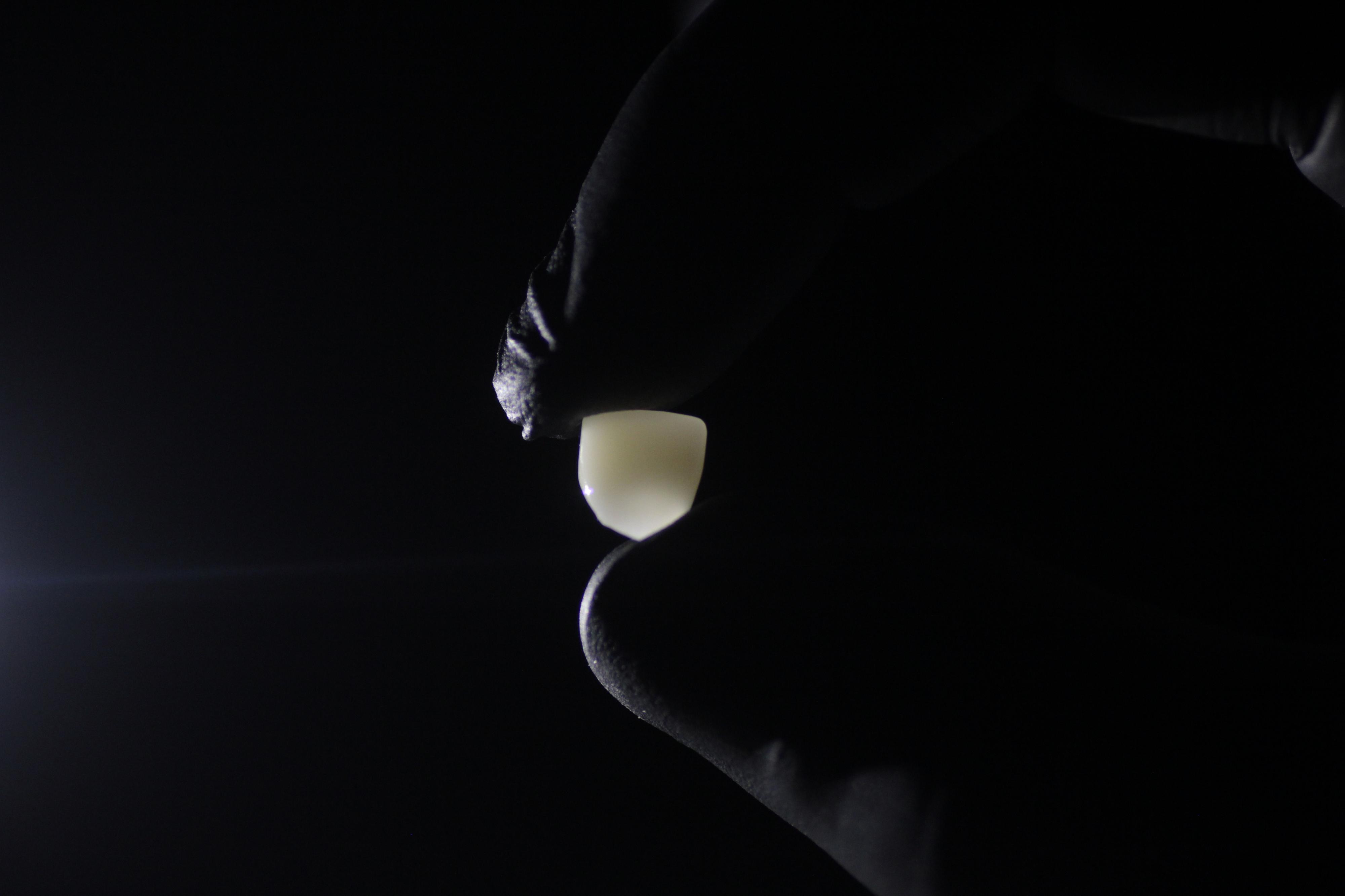 DENTICS foto 6