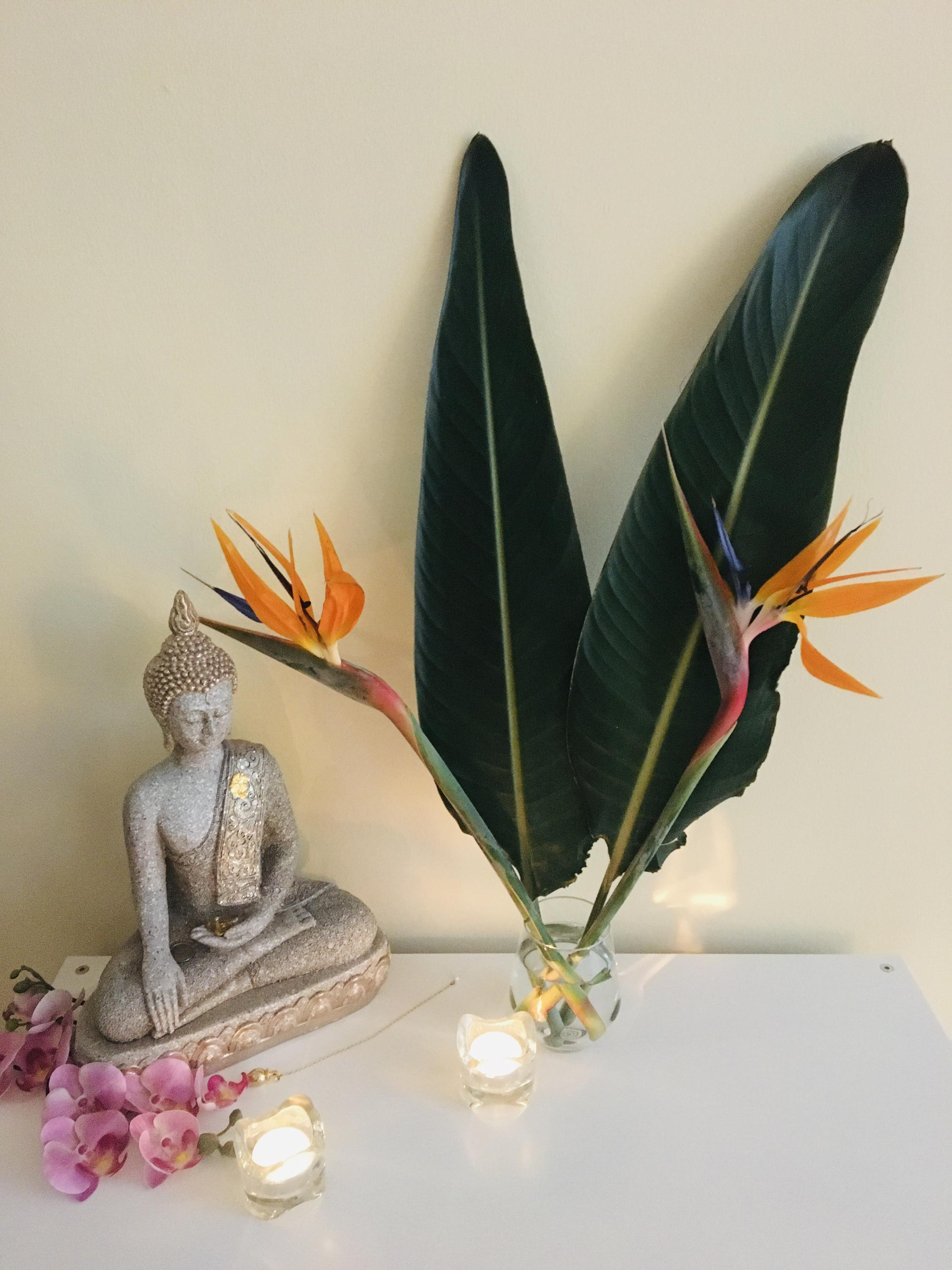 Masáže Mgr. Daniela Skálová foto 2