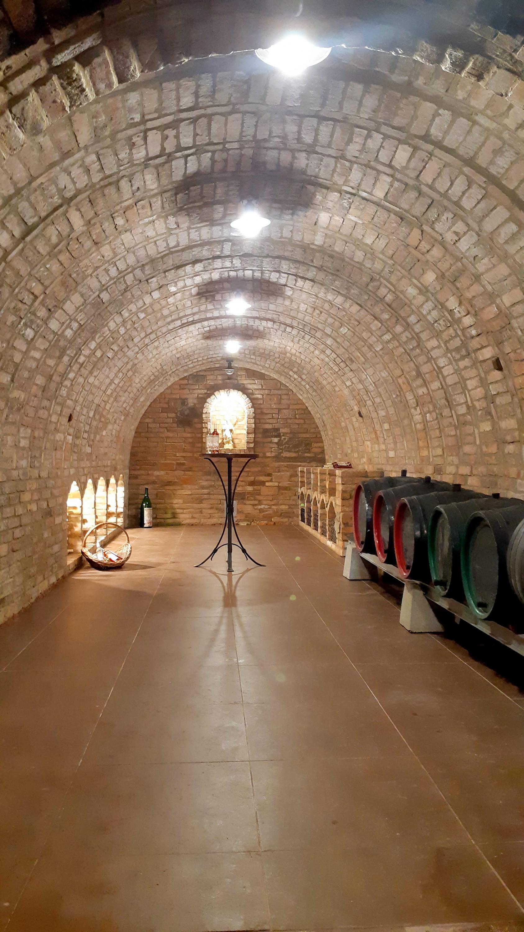 Rodinné vinařství Zahnaš foto 2