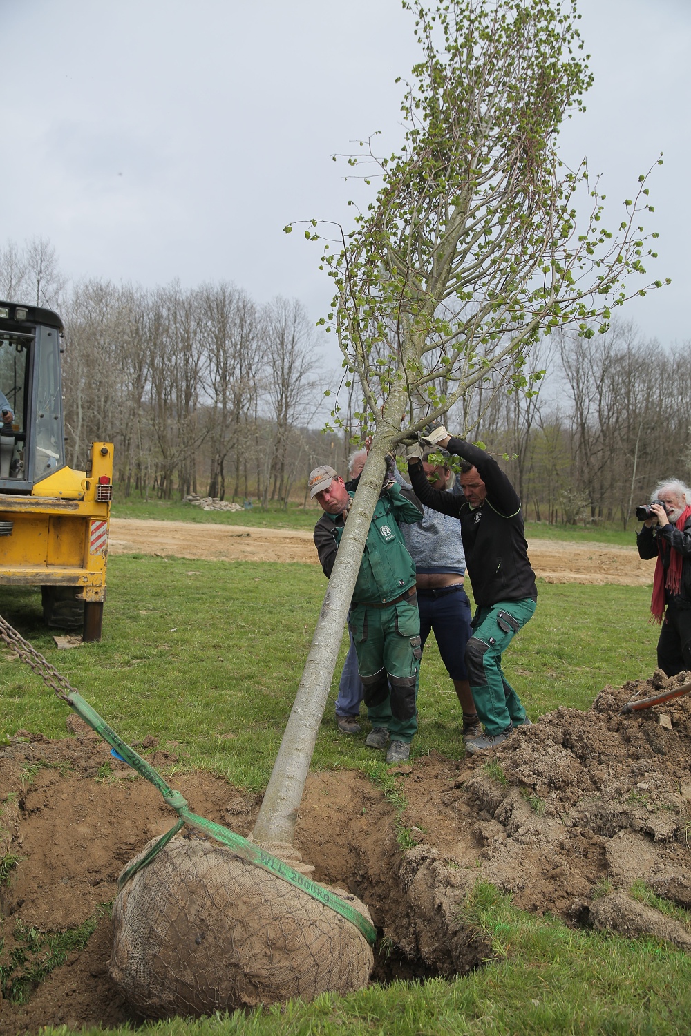 Zahradnické služby - Petr Kohoutek foto 2