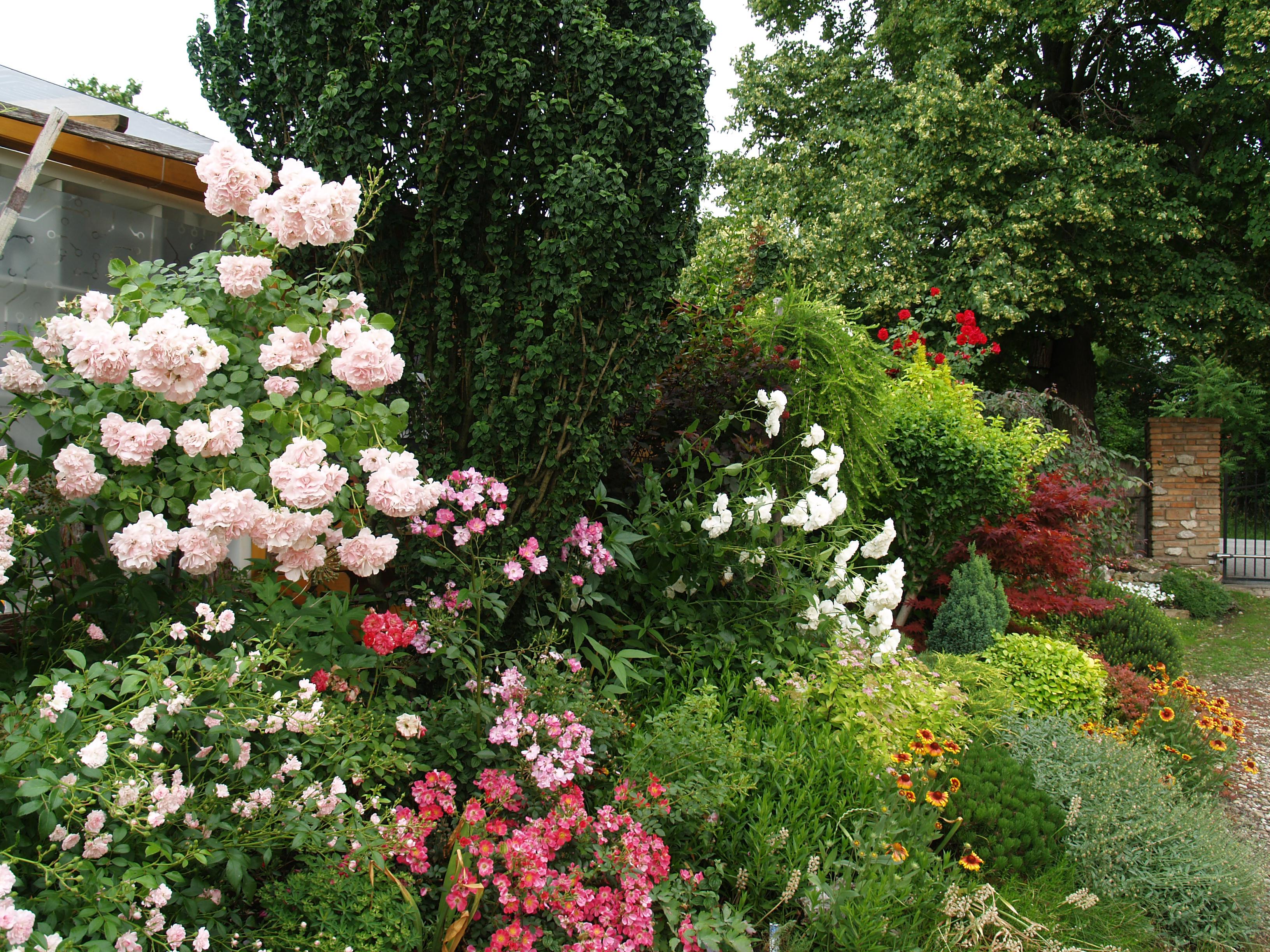 Hryzli, spol. s r.o. - Zahradní centrum foto 4