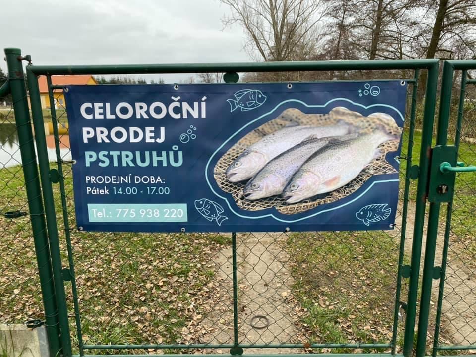 Chov ryb Štěpánek foto 2