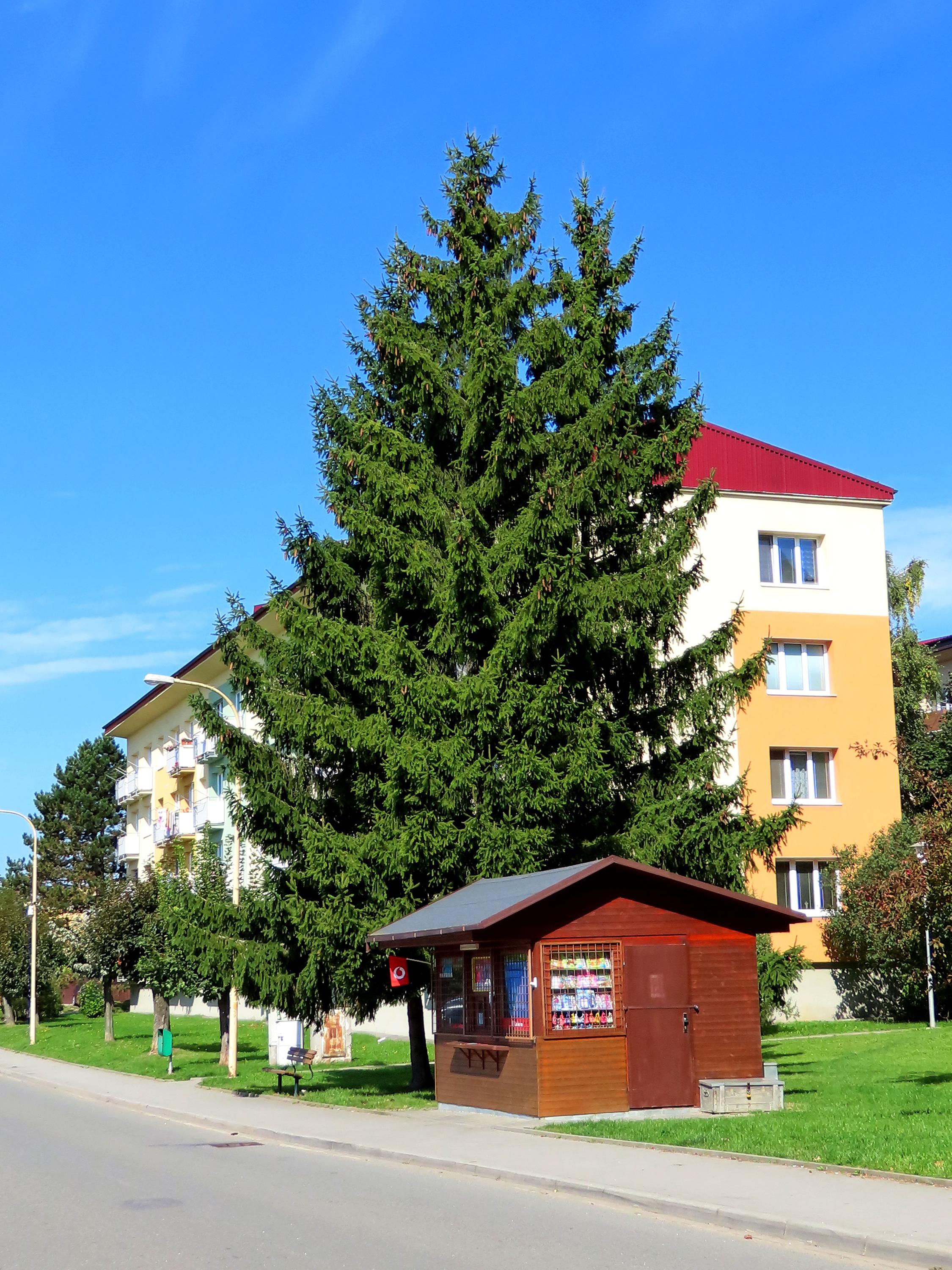 Trafika Dlouhá foto 2