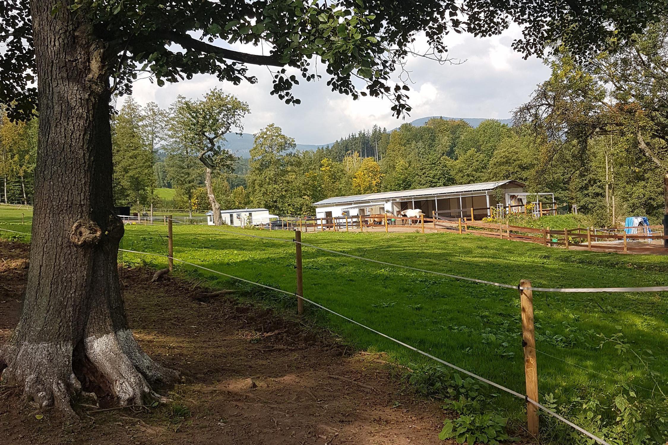 Vraní vrch - paddock paradise