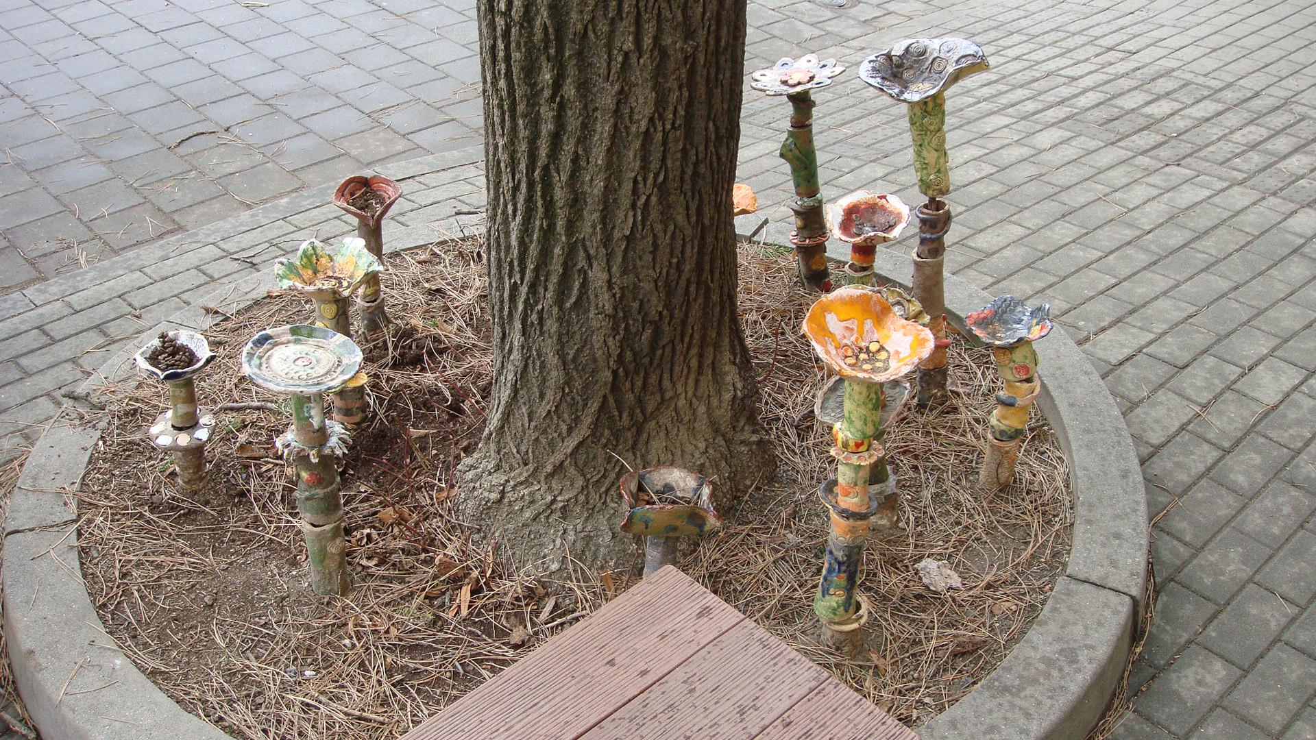 ZŠ, Brno, Pohankova foto 5