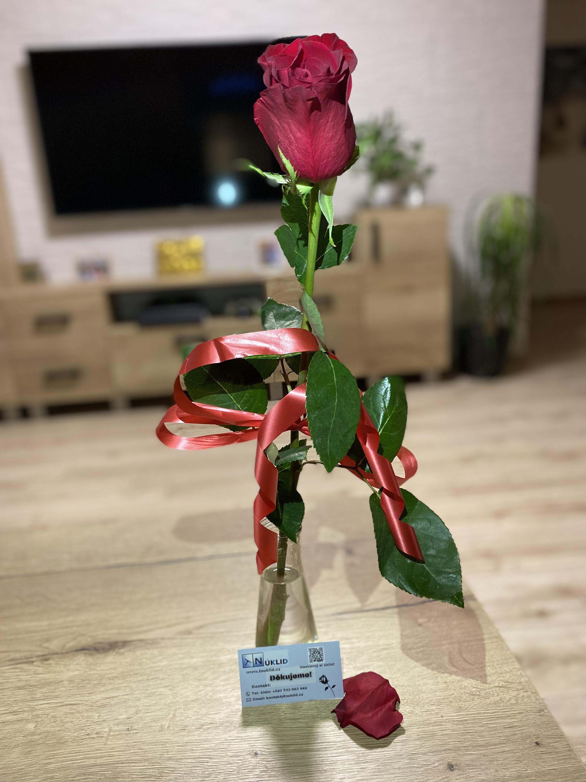 TN úklid foto 2