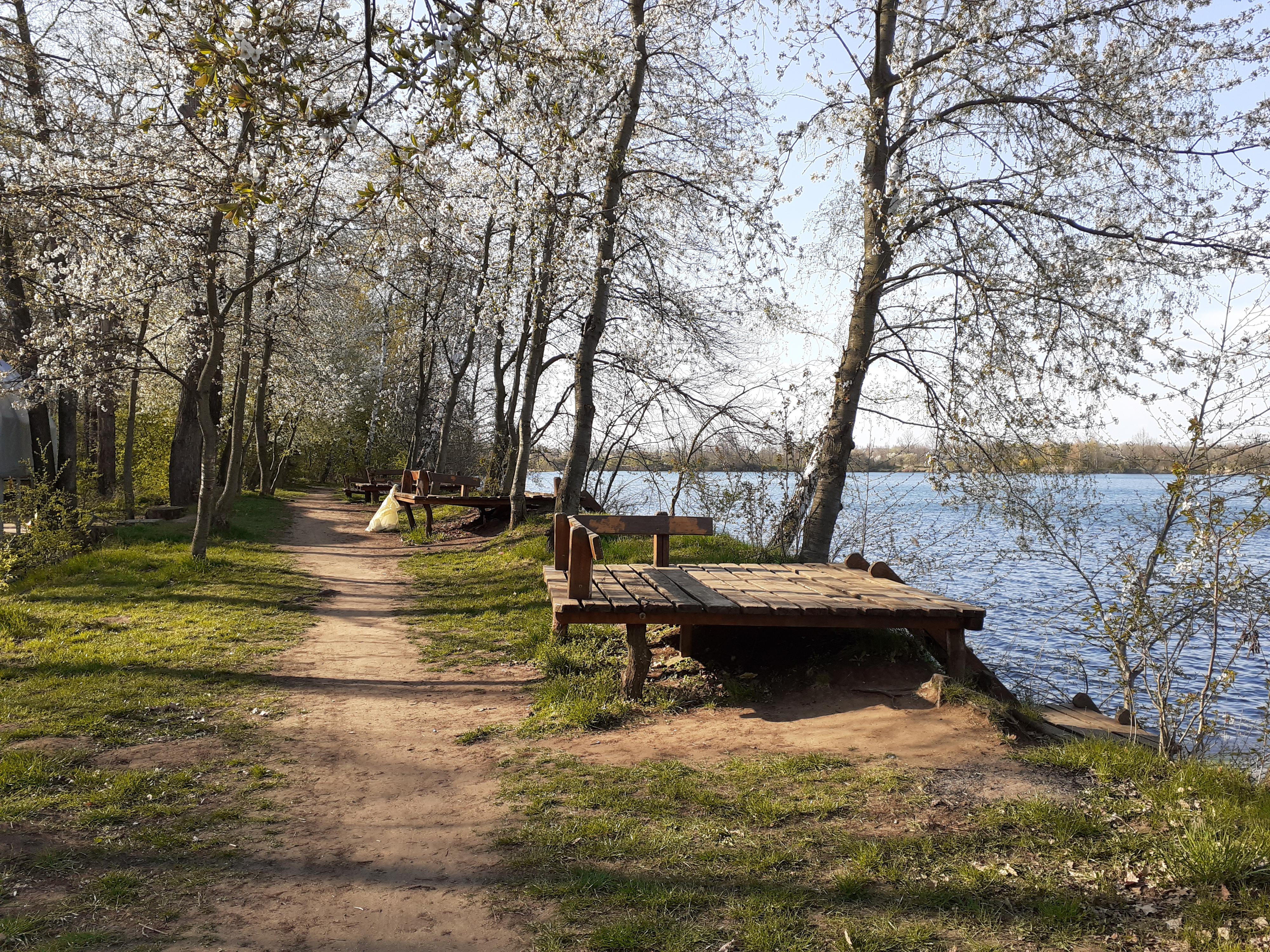 Kemp Beach Park Mlékojedy foto 6