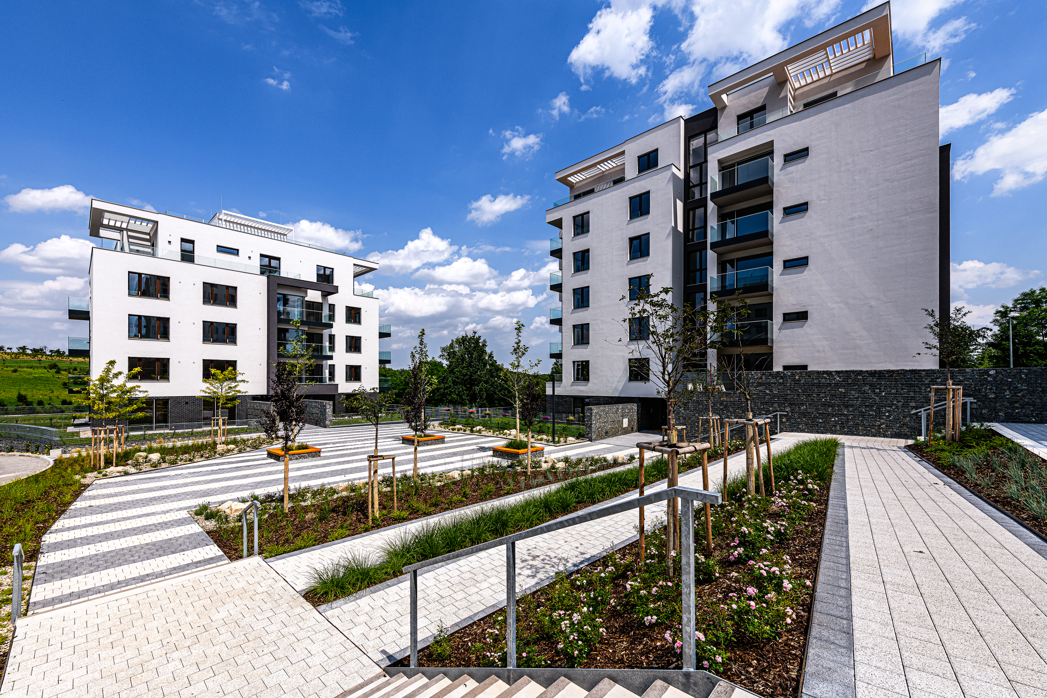 Daramis Zelené město 3