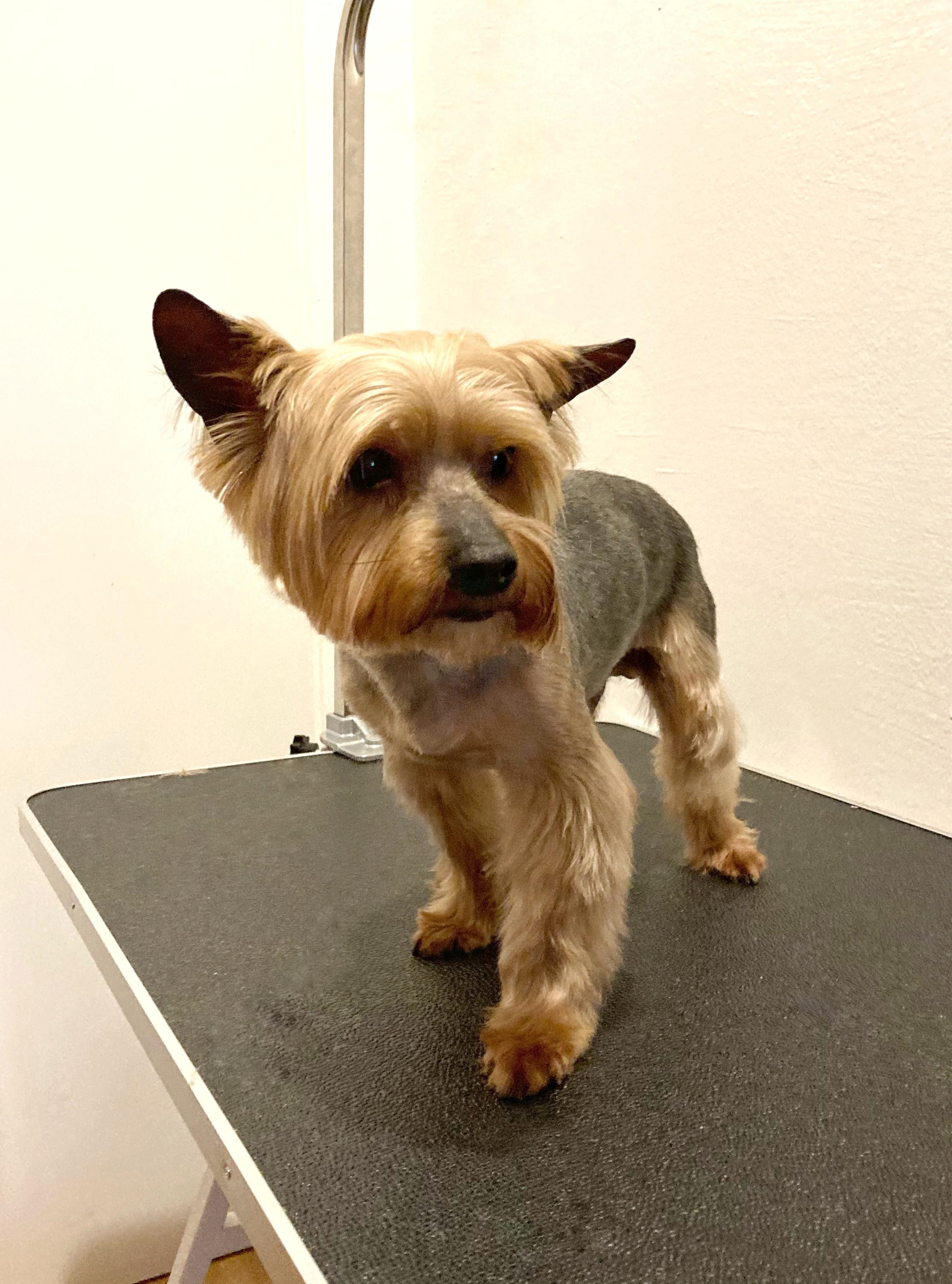 Kateřina Loudová foto 2