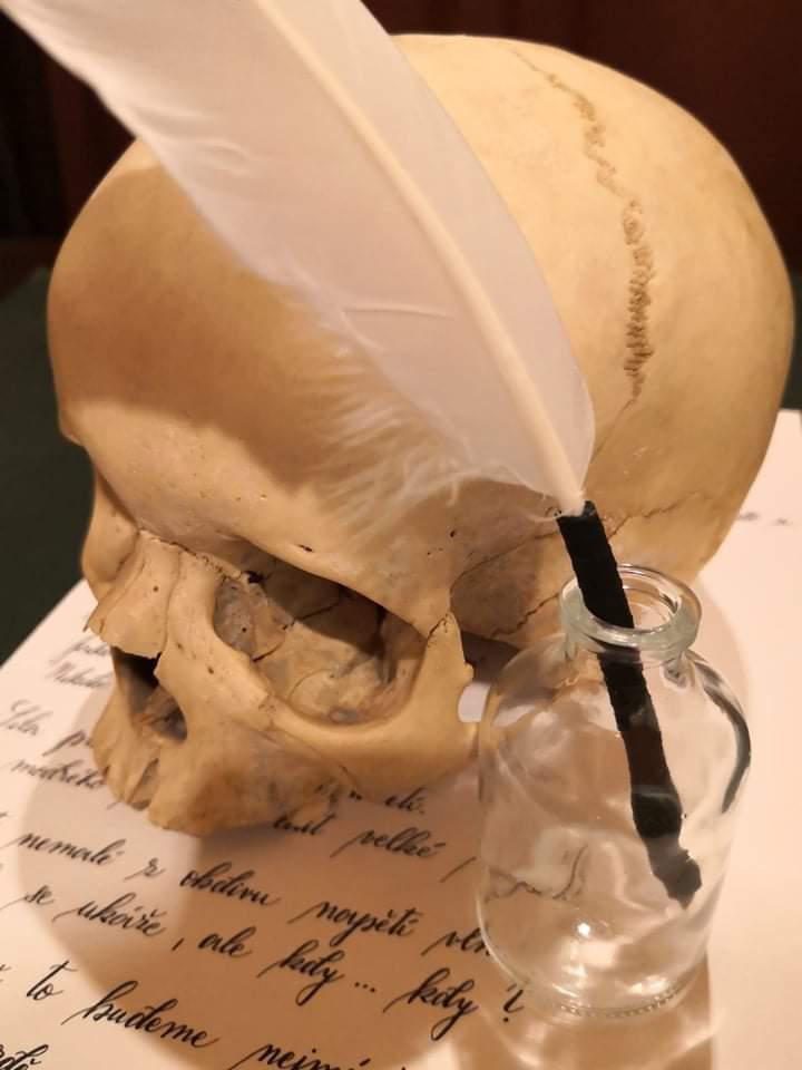 Poklad kapitána Reeda foto 3