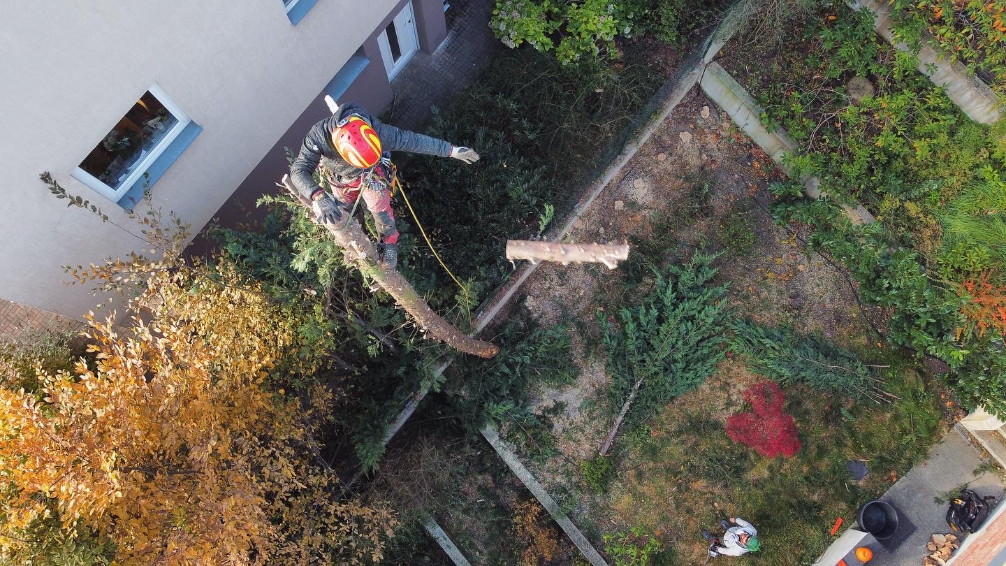 Rizikové kácení - Michal Ženíšek foto 3