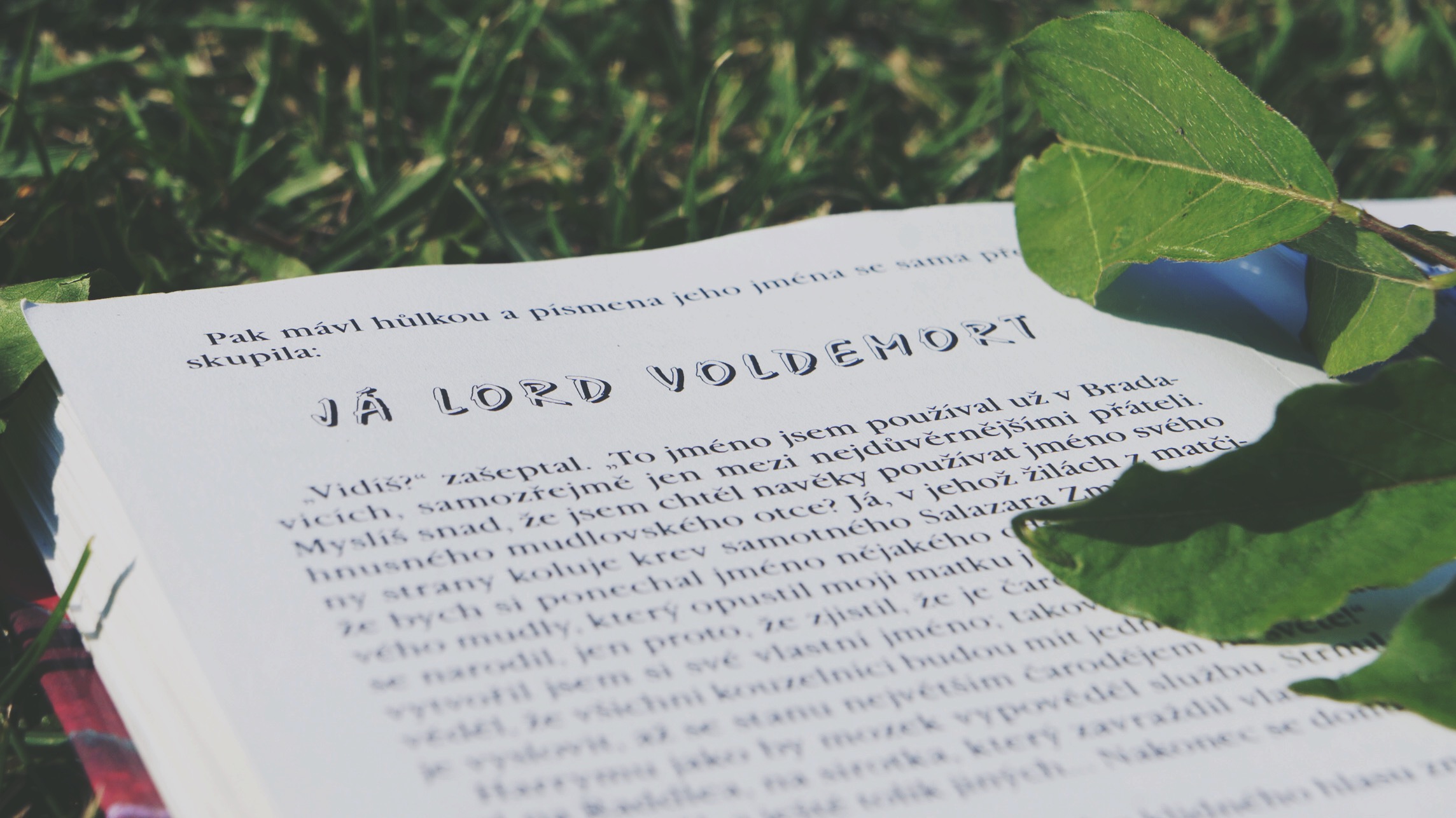 Dobre-knihy.cz foto 6