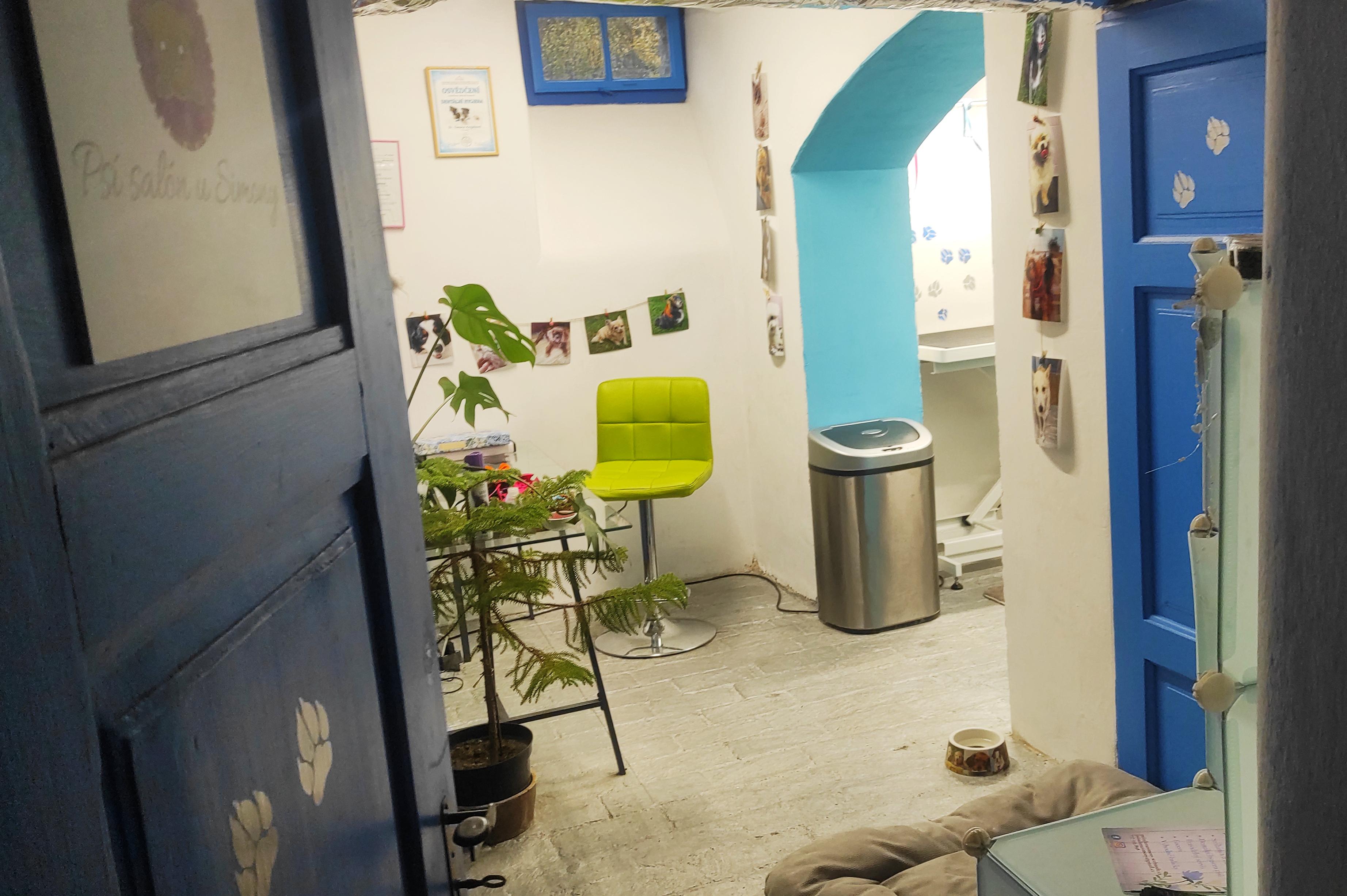 Psí salón u Simony