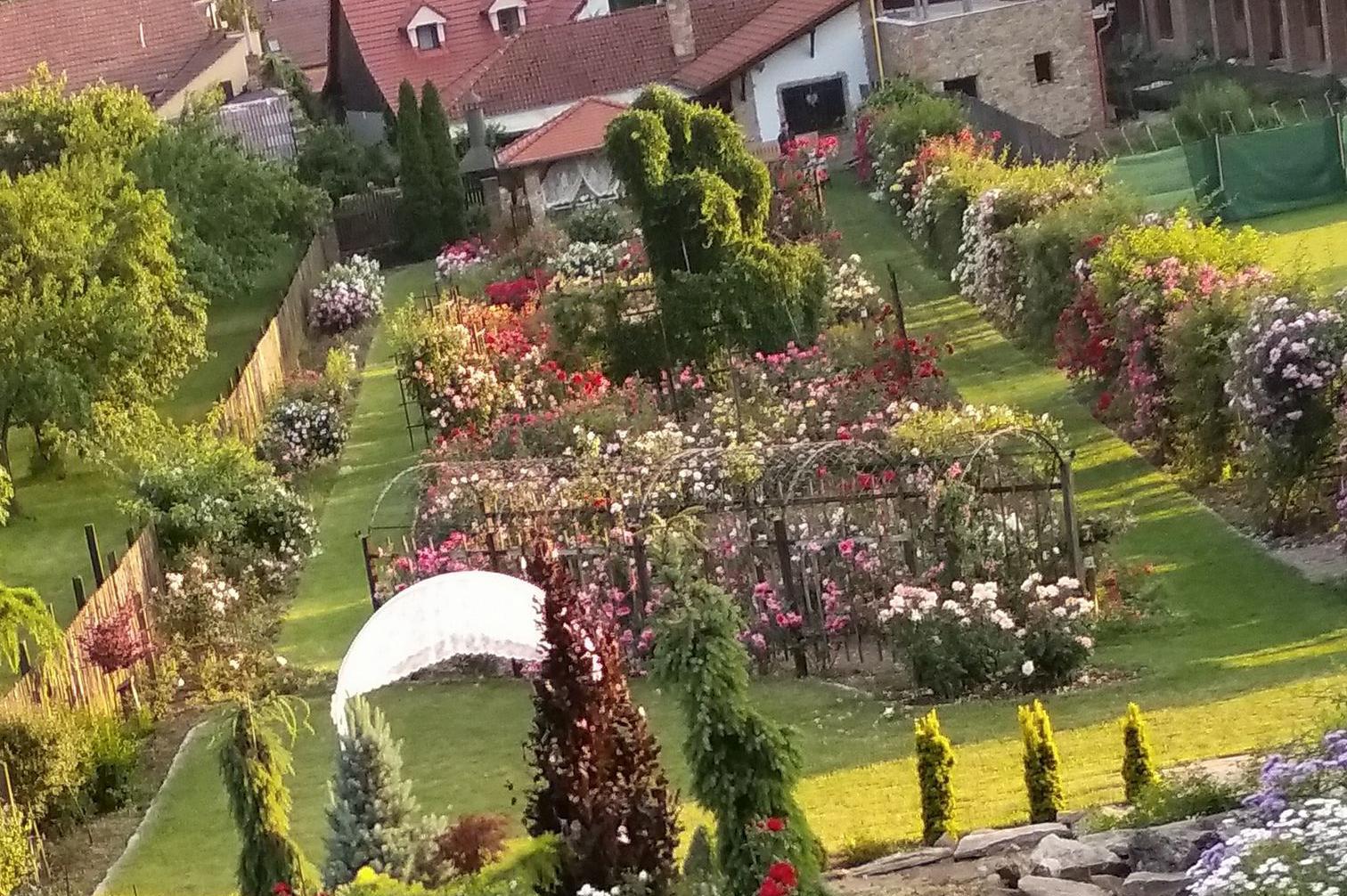 Vinařství ROSETA - vinařství v růžích