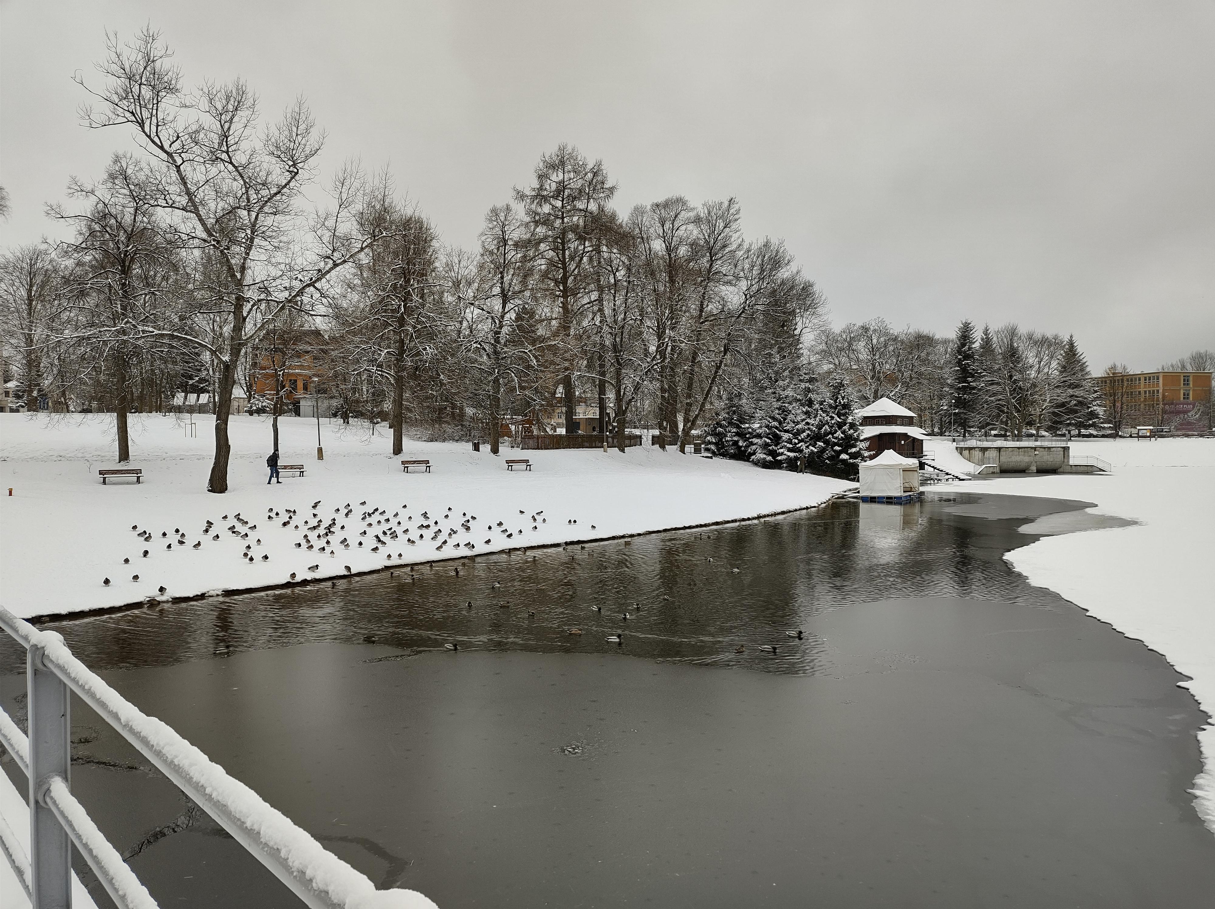 Půjčovna lodiček Vodní nádrž Mšeno foto 2
