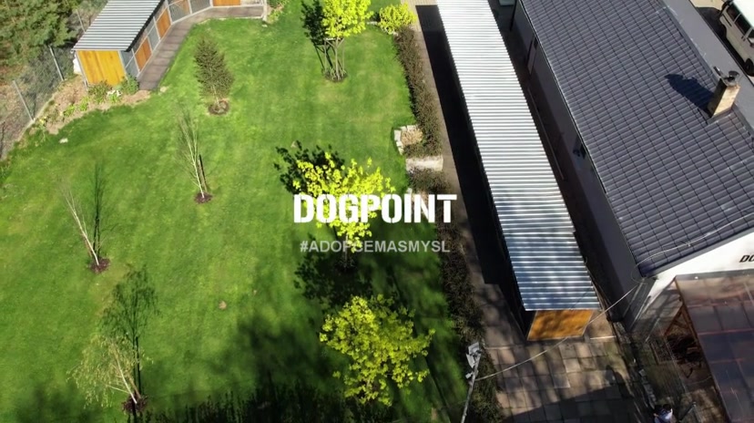 Dogpoint foto 2 (náhled videa)