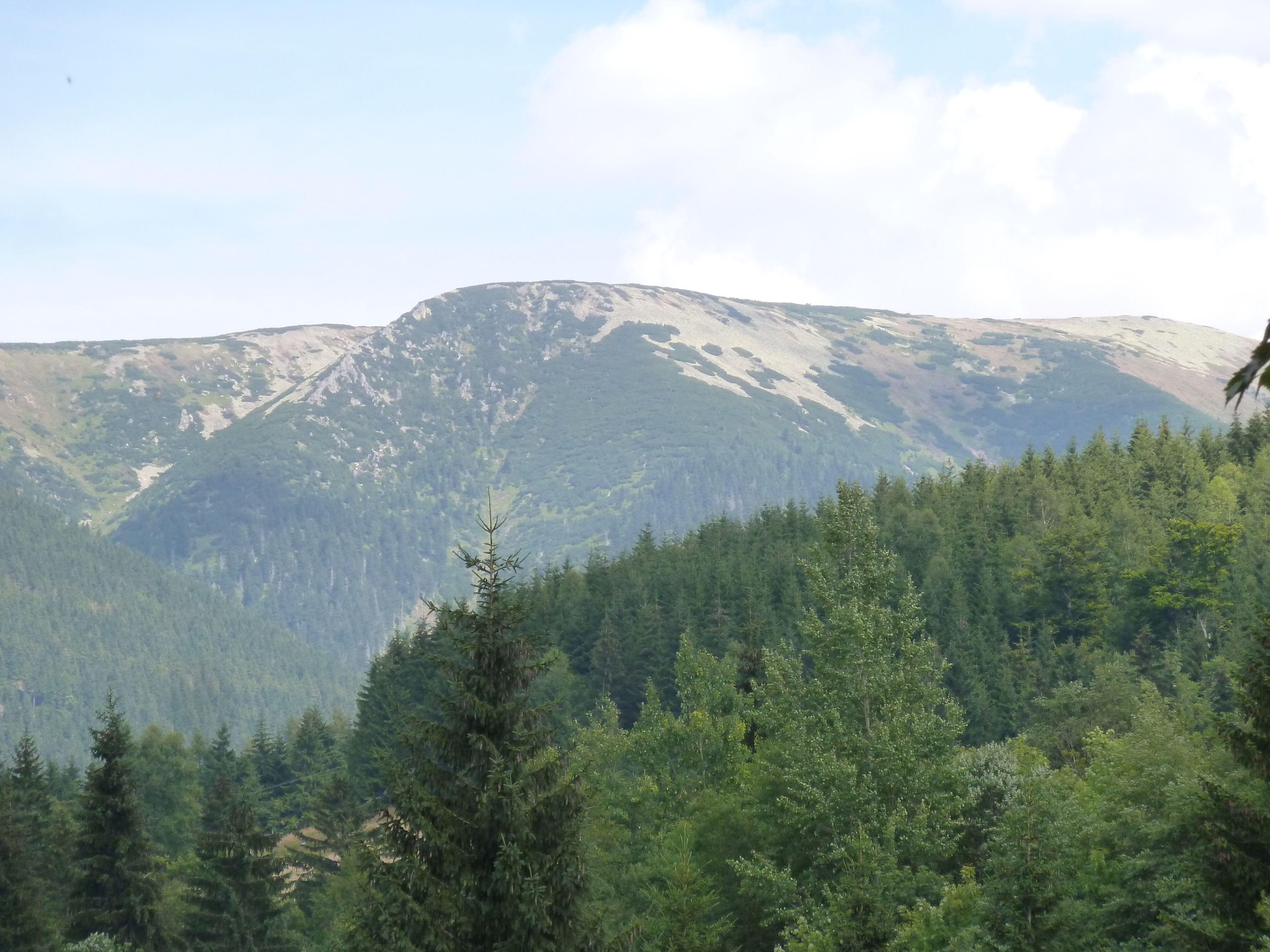 Restaurace hotelu Zátiší foto 6