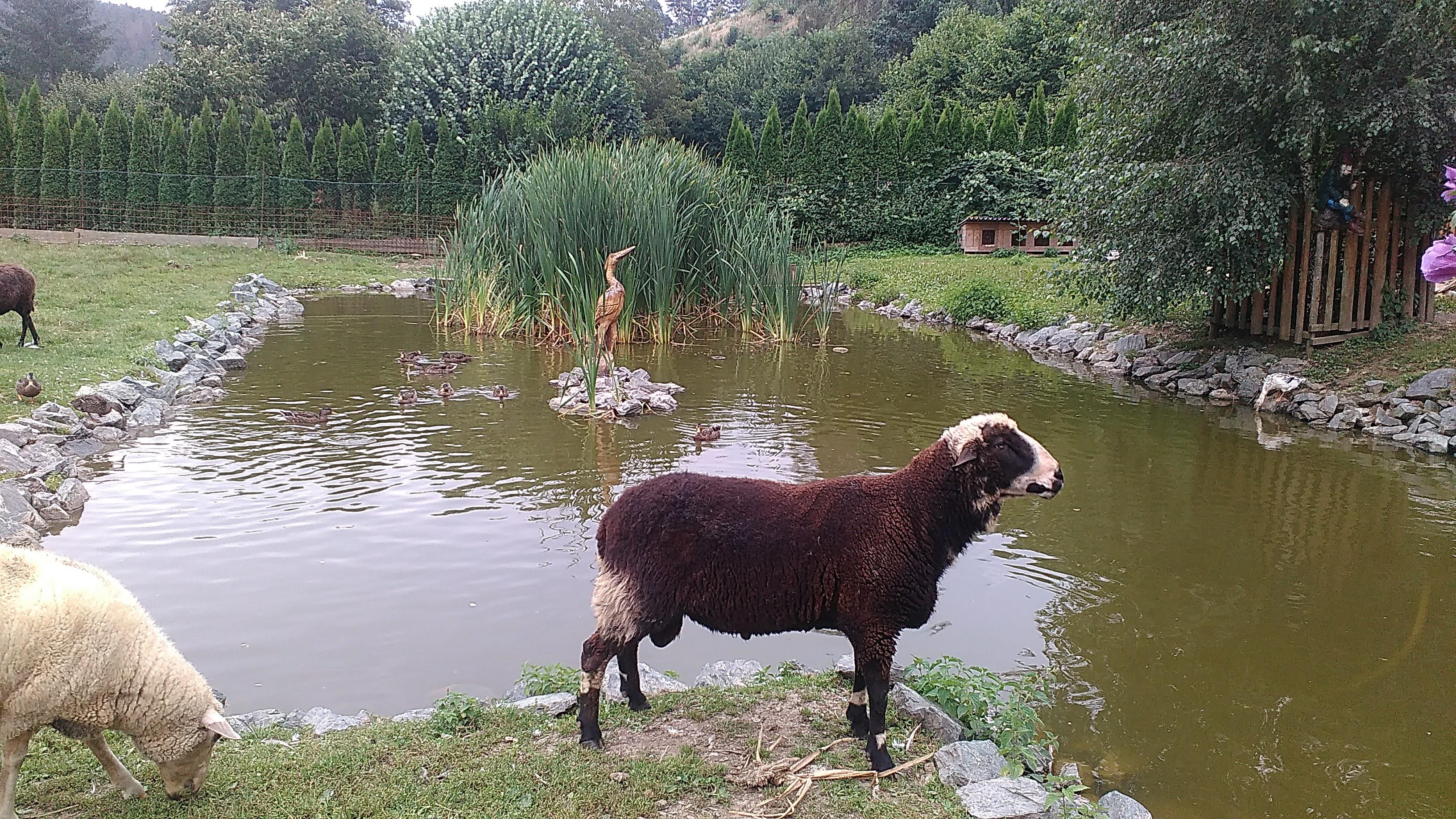 Kadlcův mlýn foto 6