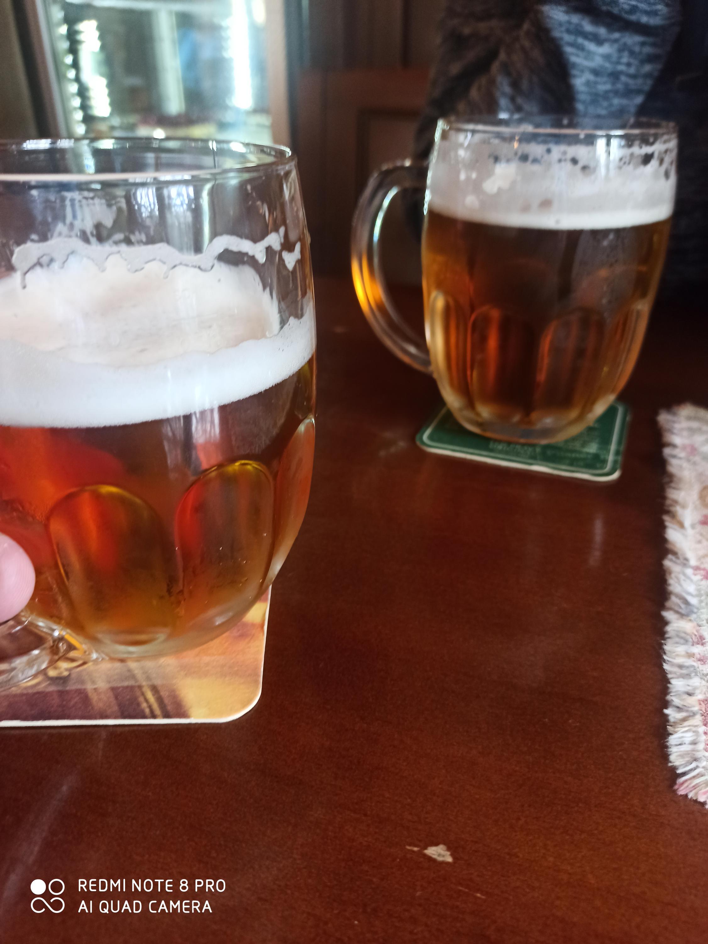 Restaurace U zámku Kratochvíle foto 3