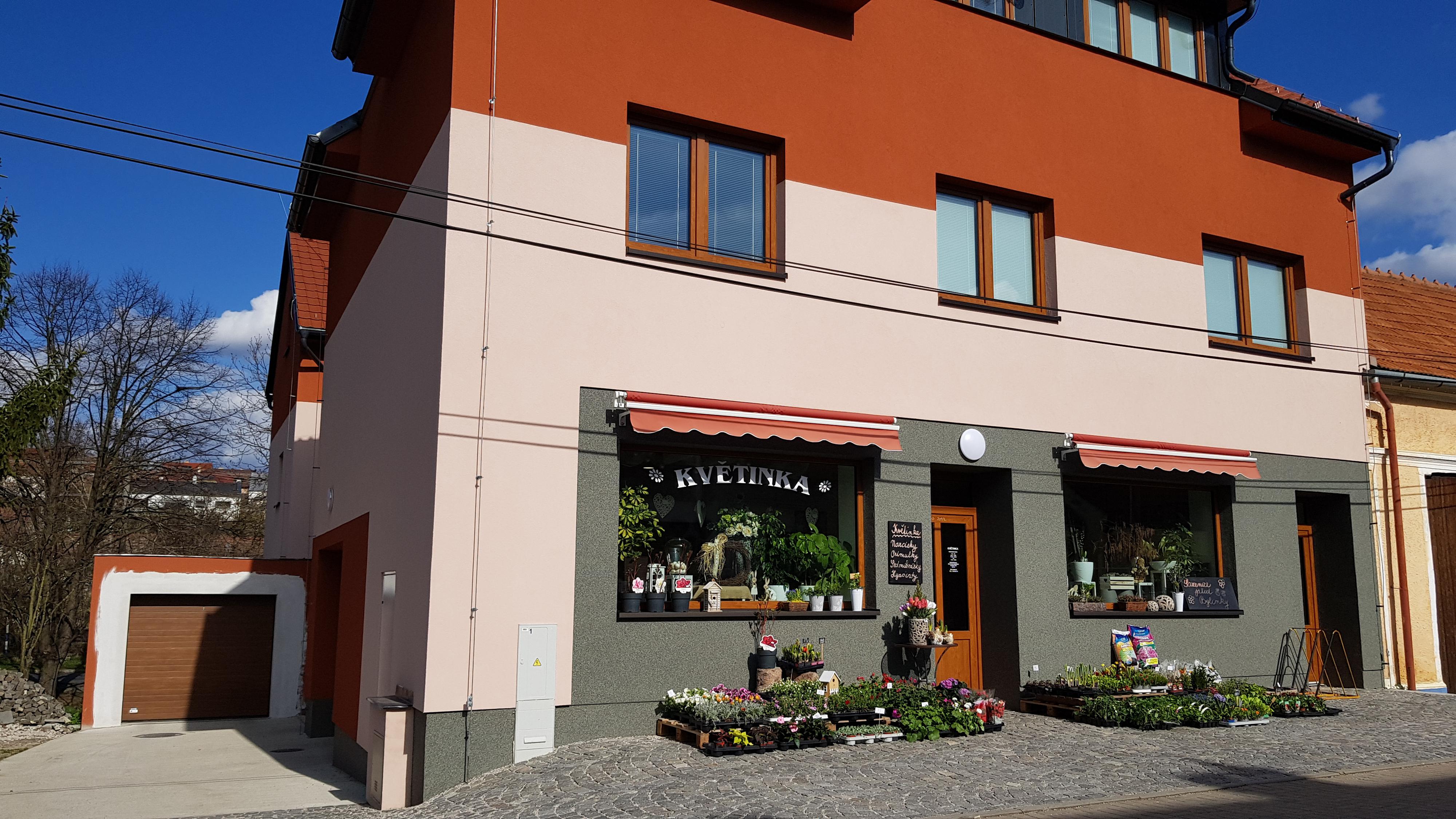 Květinka Bohdana Zemková foto 3