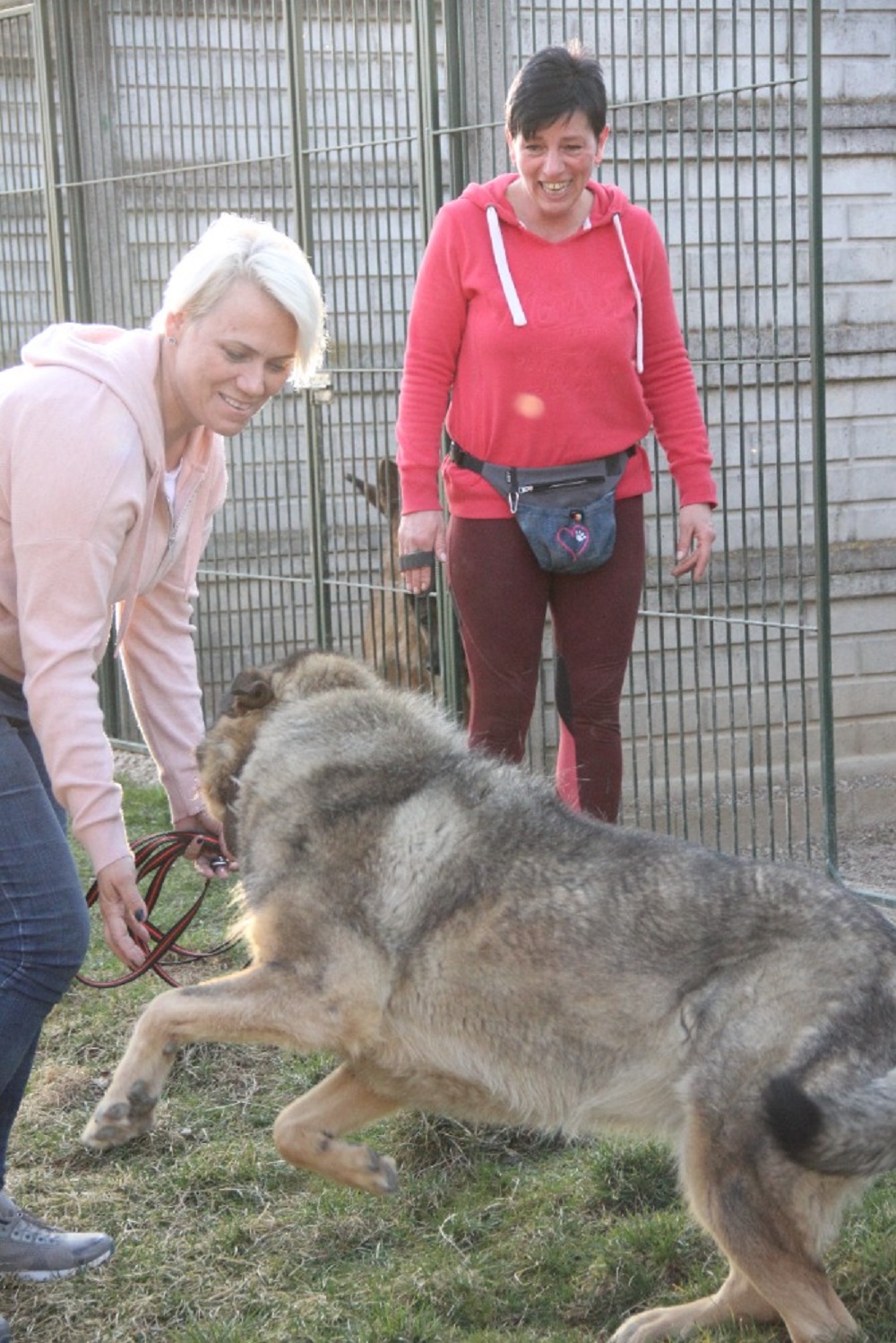 Radka Koubíčková, Rodinný pension Mazlíček foto 4