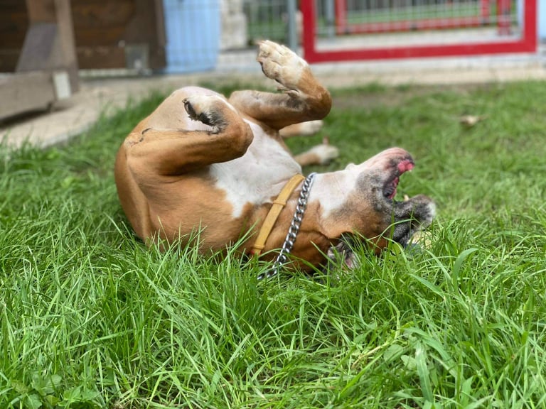 Chlupatá dovolená - Jan Kuča foto 4