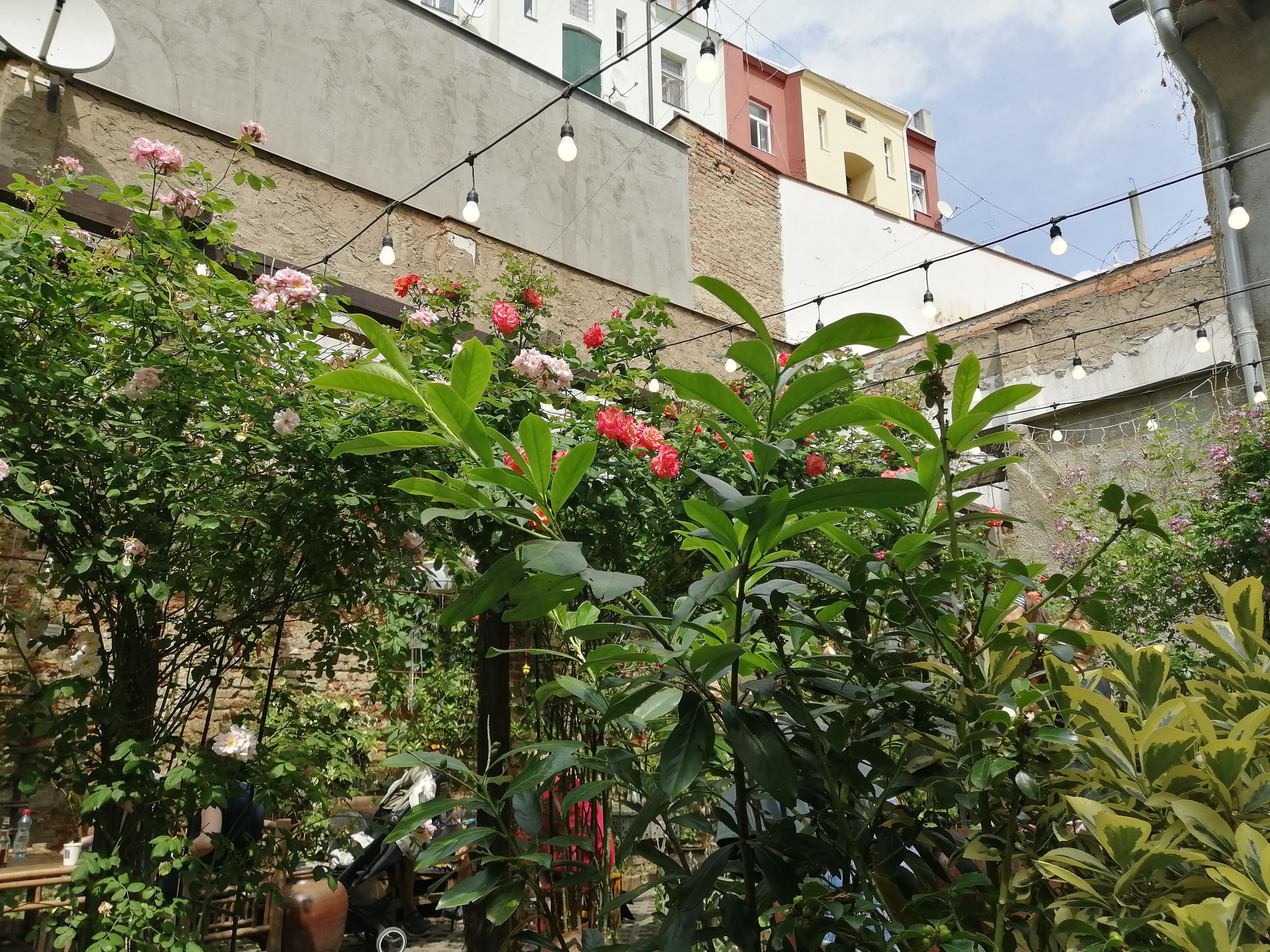 Botanica Coffee Truck foto 4
