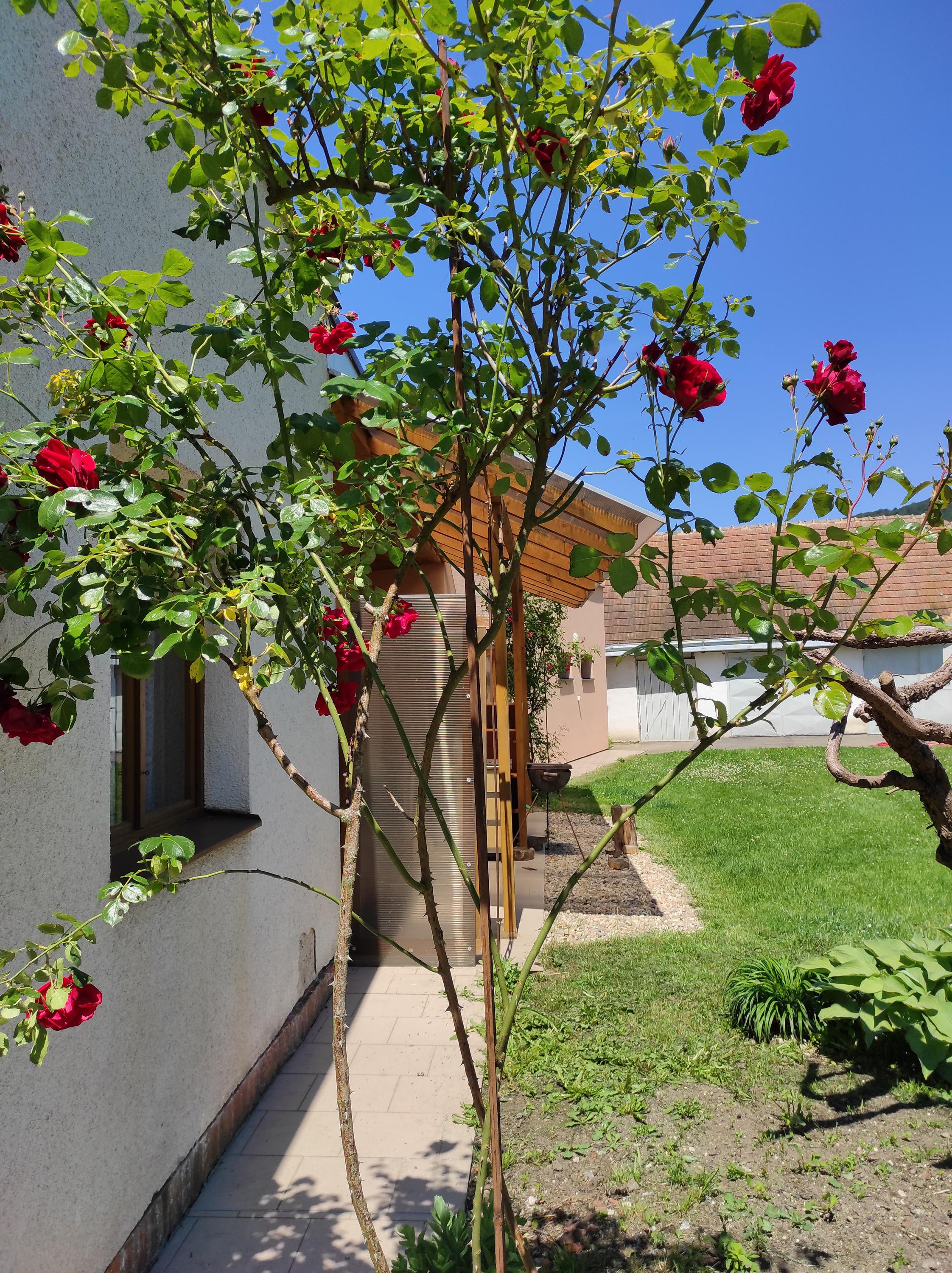 Apartmán Běstvina foto 2