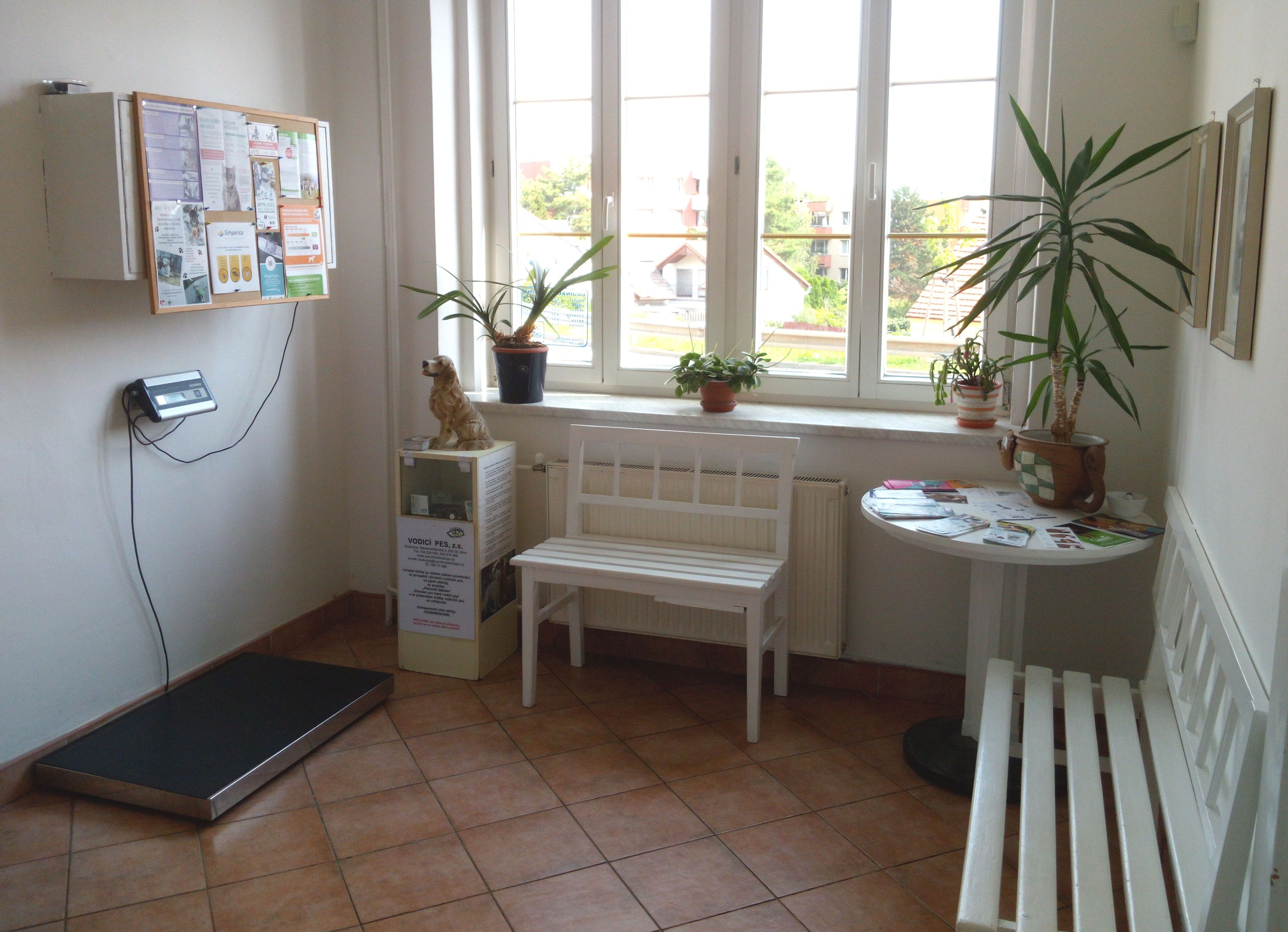 Veterinární ordinace Řečkovice foto 2