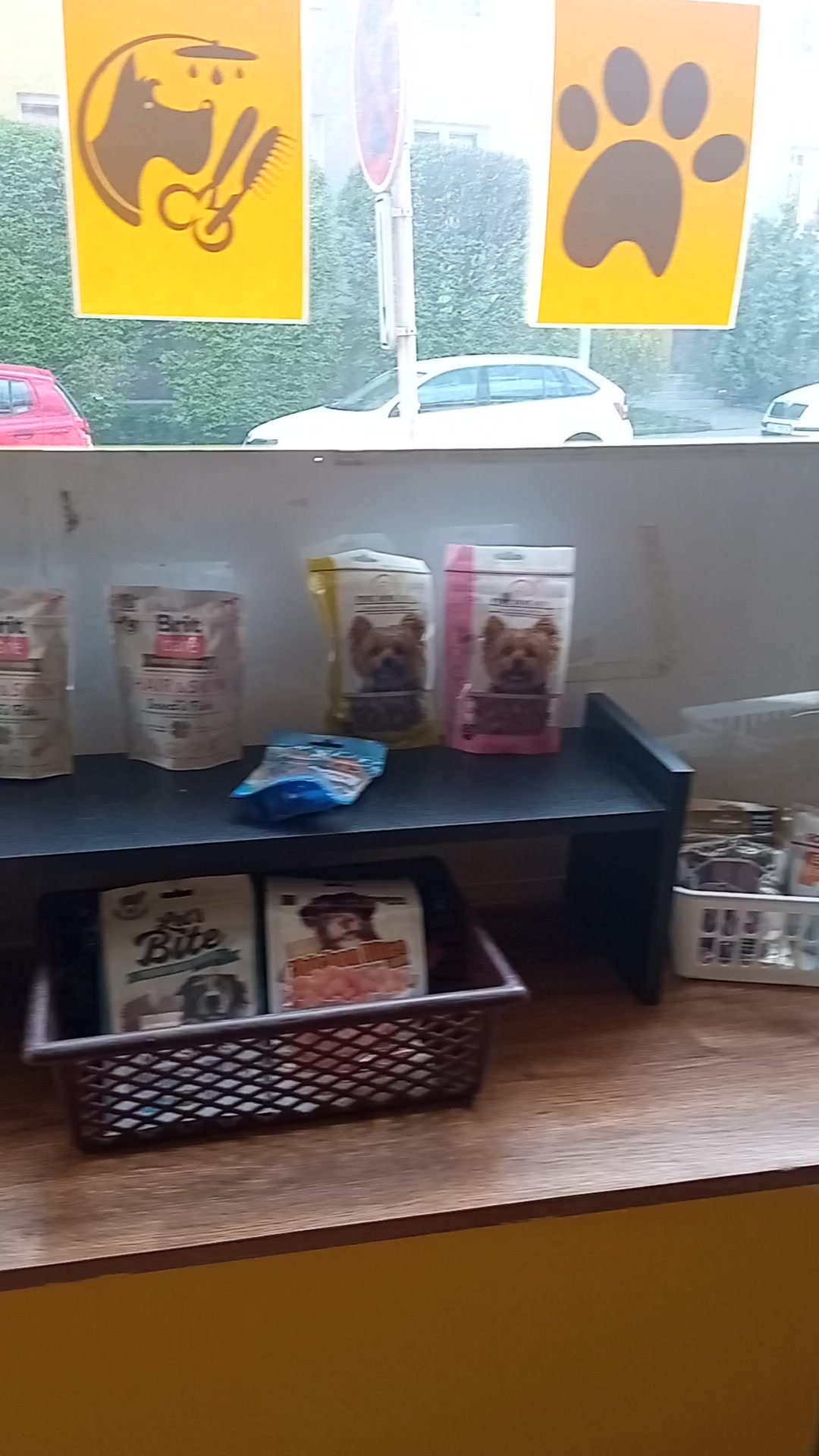 Psí salon Lovosice foto 2 (náhled videa)