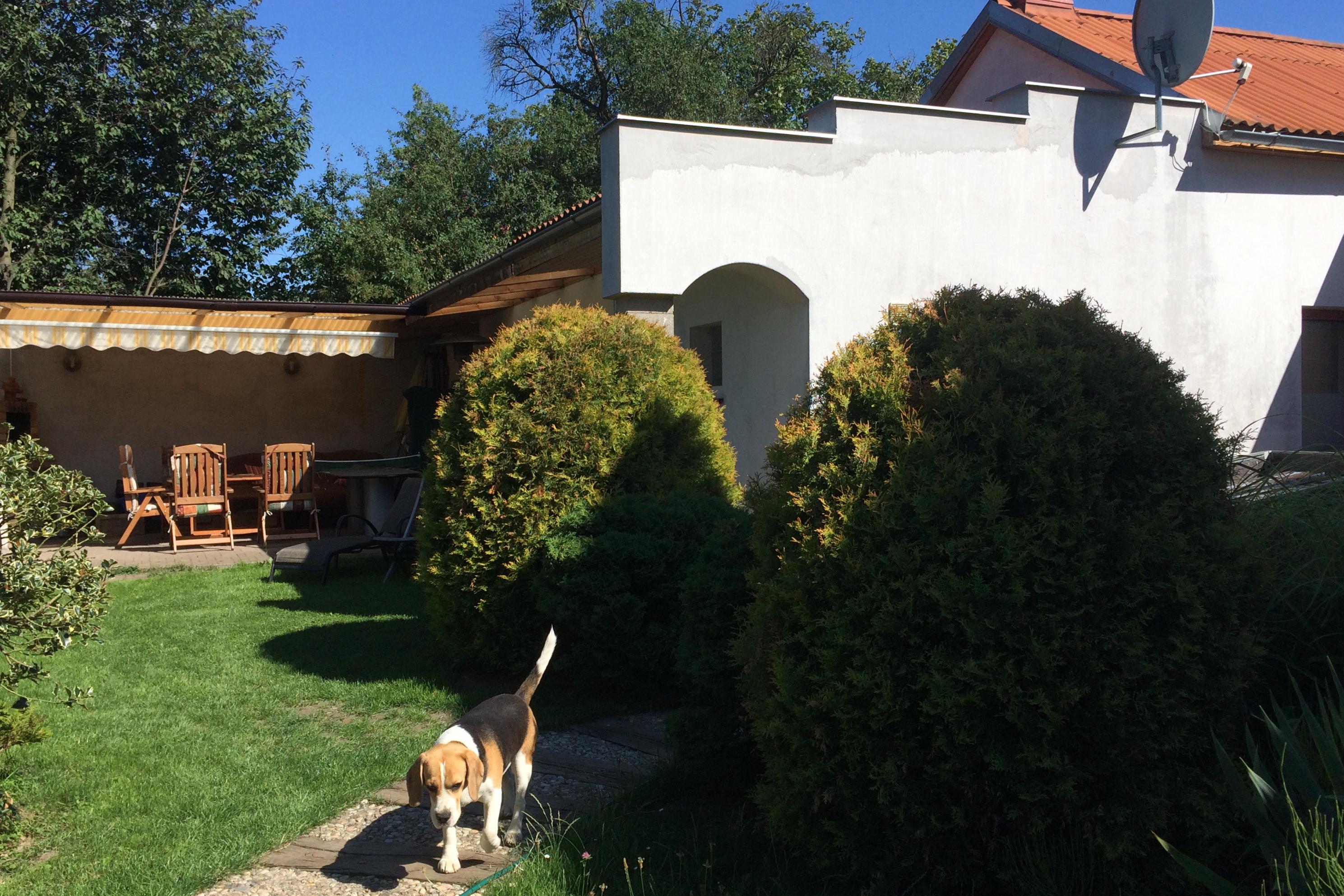 MaMut privat garden house