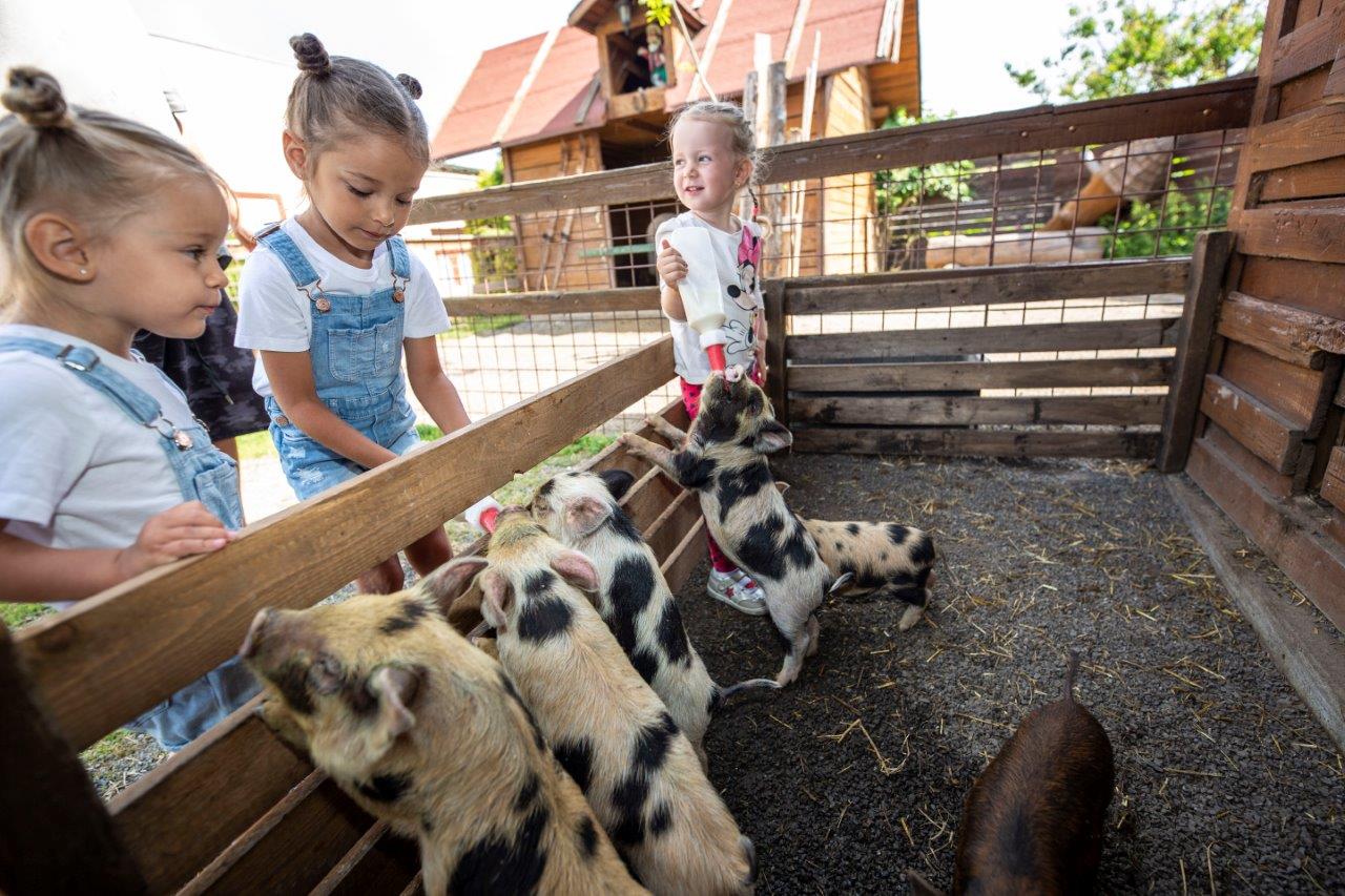 Zvířata - Svíčkárna Rodas s.r.o. foto 3