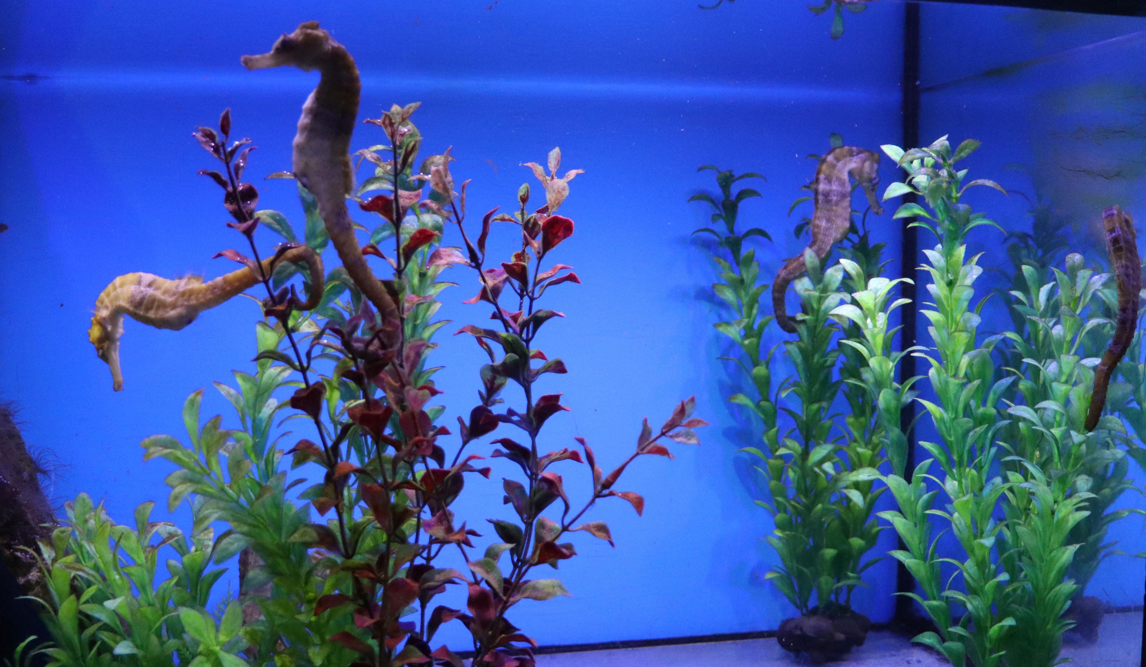 Zoo Děčín - Rajské ostrovy foto 6