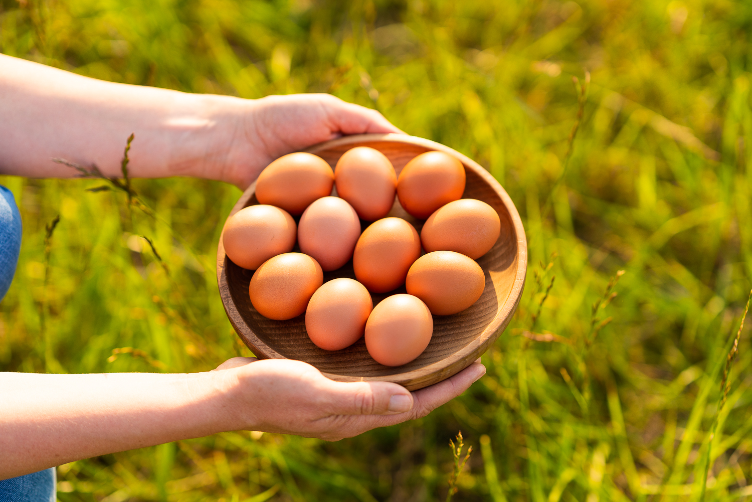 Kyselovic hospodářství foto 4